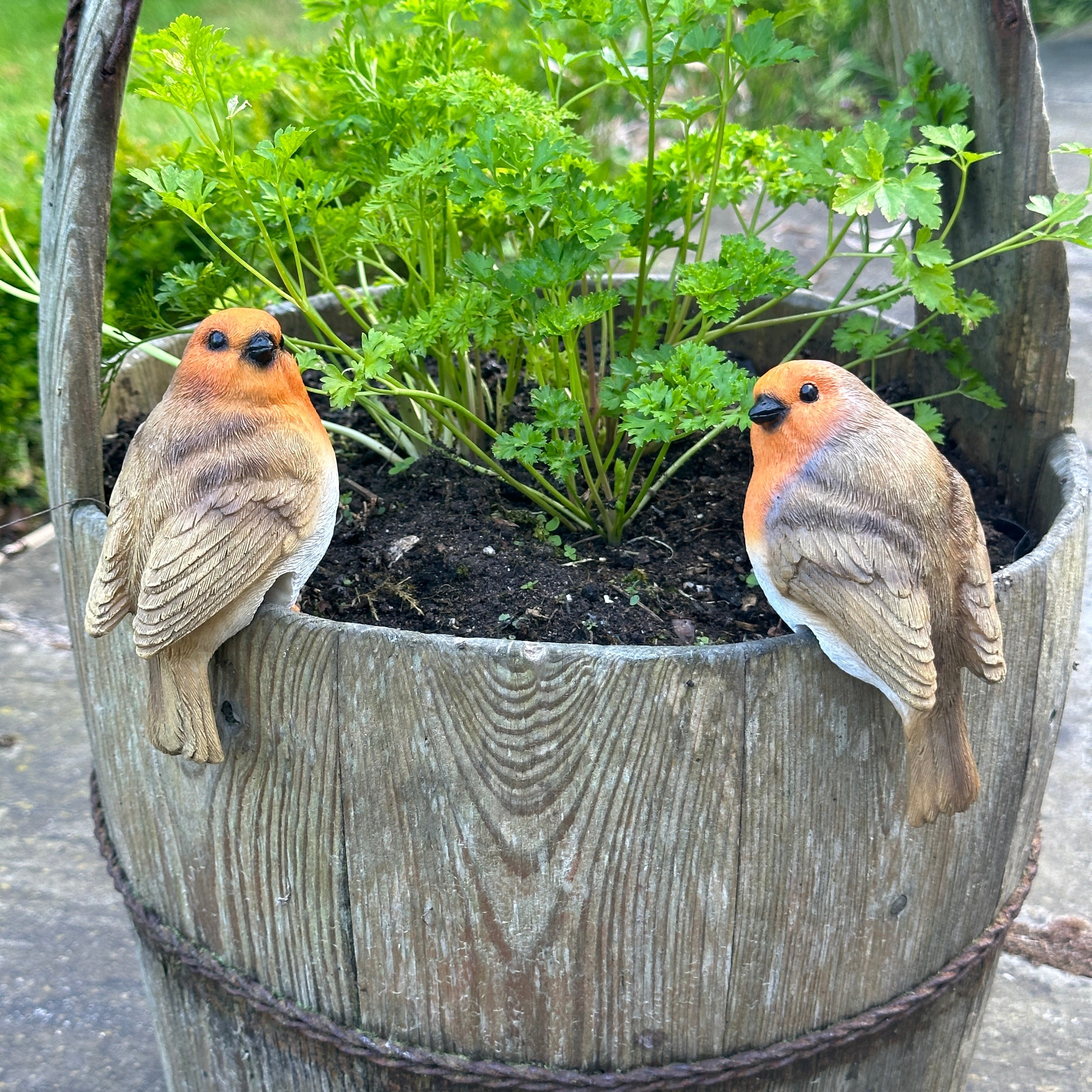 SET of 2 Robin flower pot hangers, novelty garden ornament bird lover gift