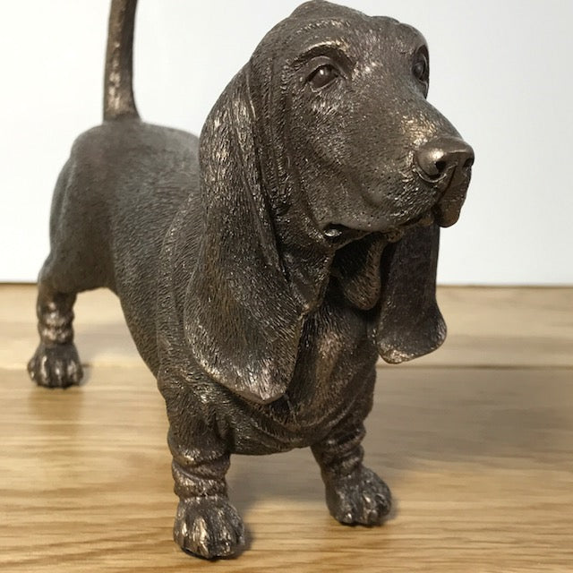 Basset Hound figurine in cold cast bronze, gift boxed