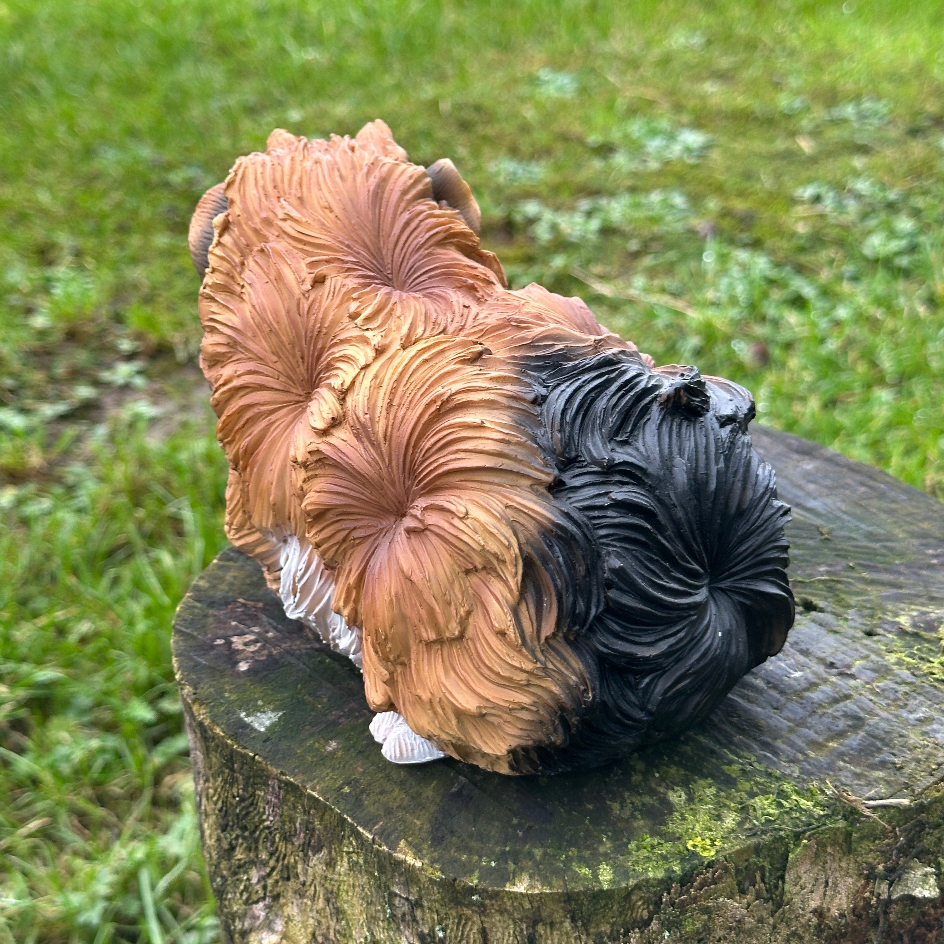 Animal Crackers 18cm Guinea Pig figurine, tri-colour tortoiseshell with long haired coat