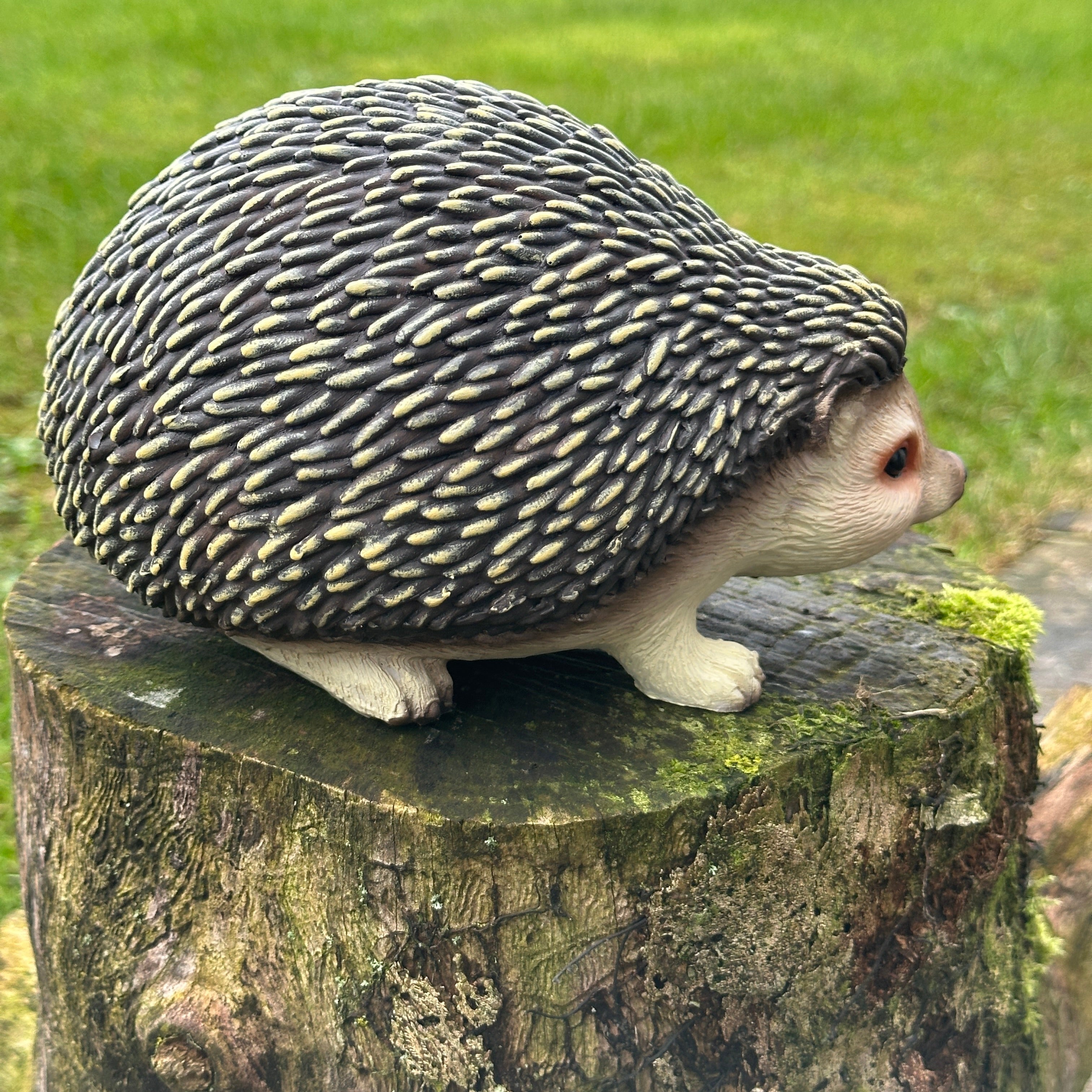 Animal Crackers Hedgehog figurine, length 19cm, gift boxed