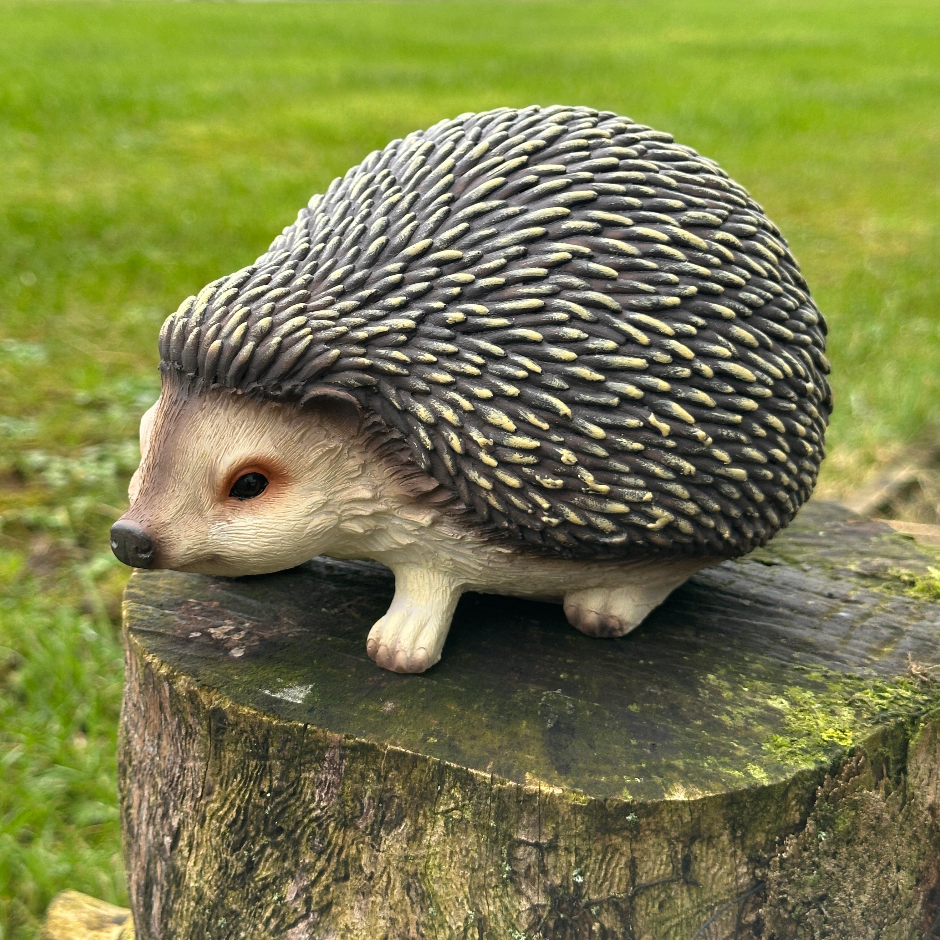 Animal Crackers Hedgehog figurine, length 19cm, gift boxed