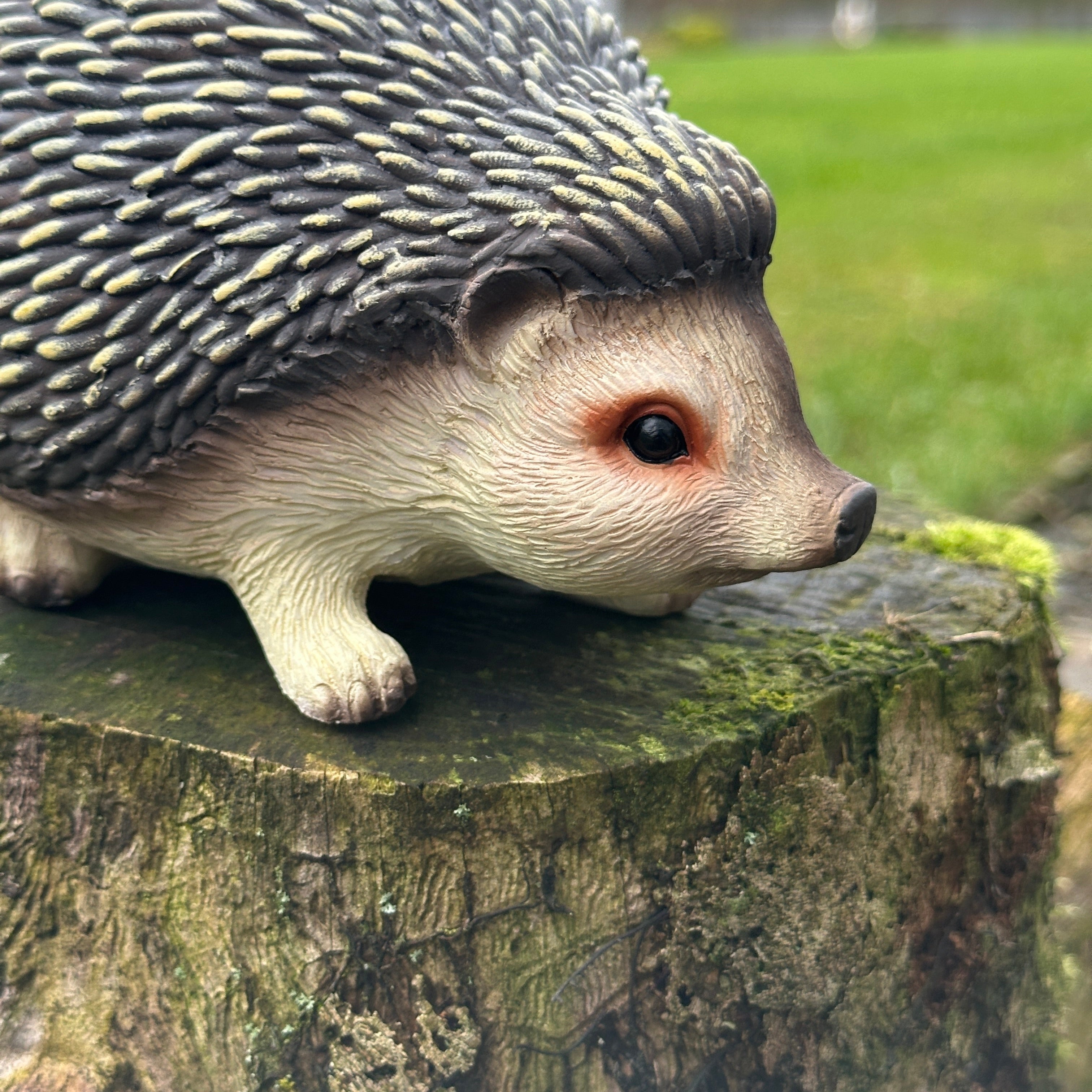 Animal Crackers Hedgehog figurine, length 19cm, gift boxed