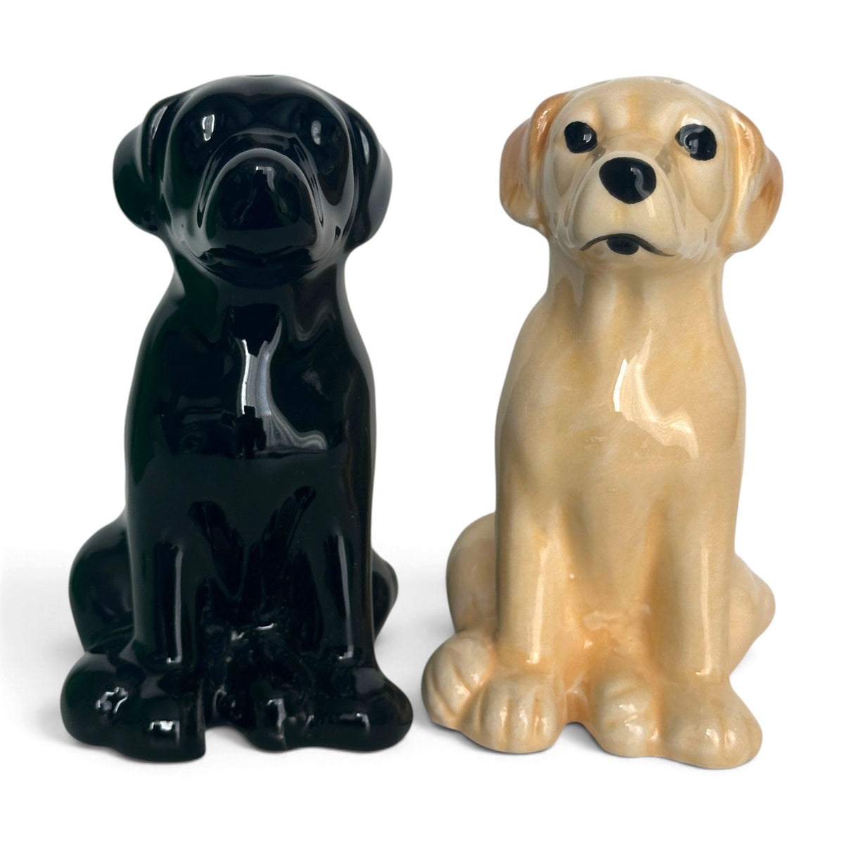 Golden and Black Labrador Ceramic Salt & Pepper Shaker Set, Gift Boxed