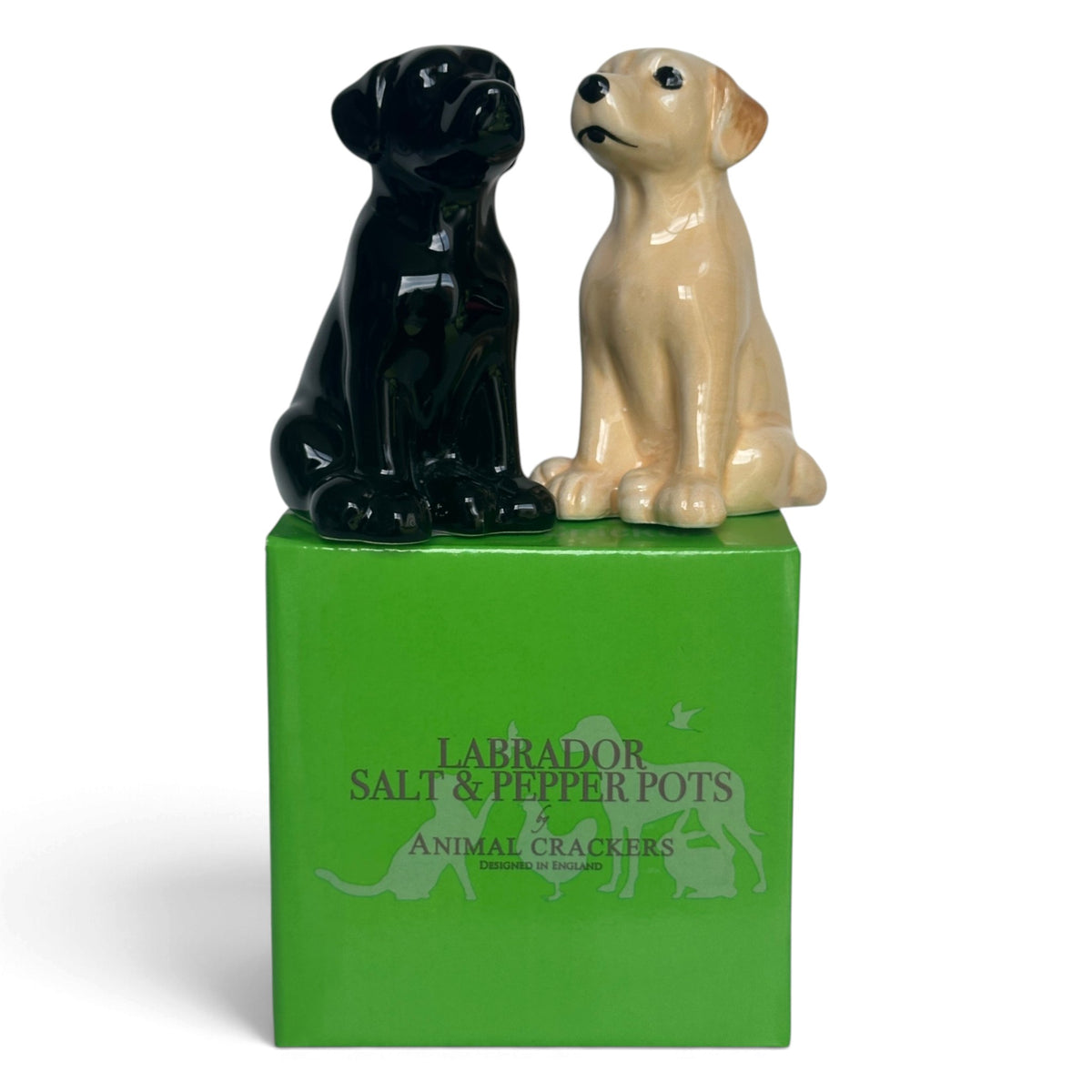 Golden and Black Labrador Ceramic Salt & Pepper Shaker Set, Gift Boxed