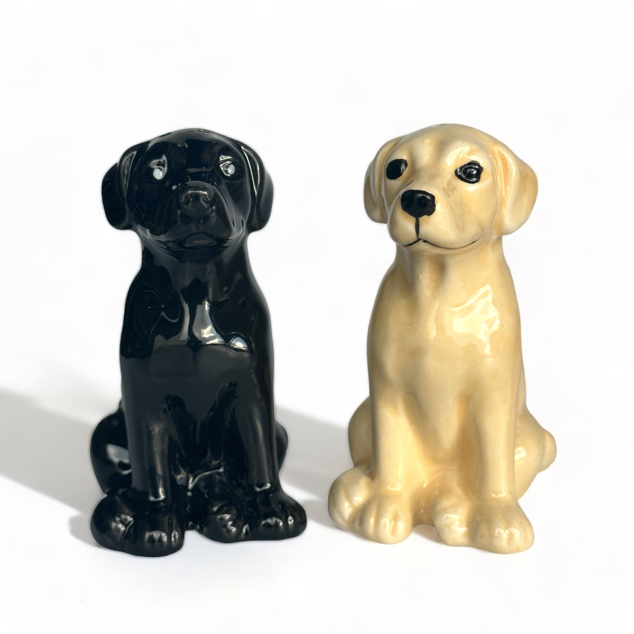 Golden and Black Labrador ceramic Salt & Pepper cruet set by Lesser & Pavey, boxed