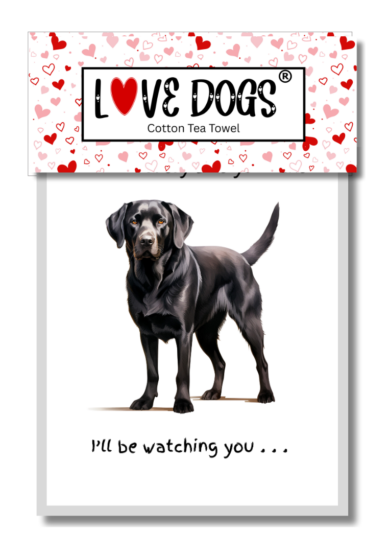 Dog lover novelty Tea Towel, with Dog Breed image and 'Watching you' funny wording, quality cotton, 66cm (Black Labrador)
