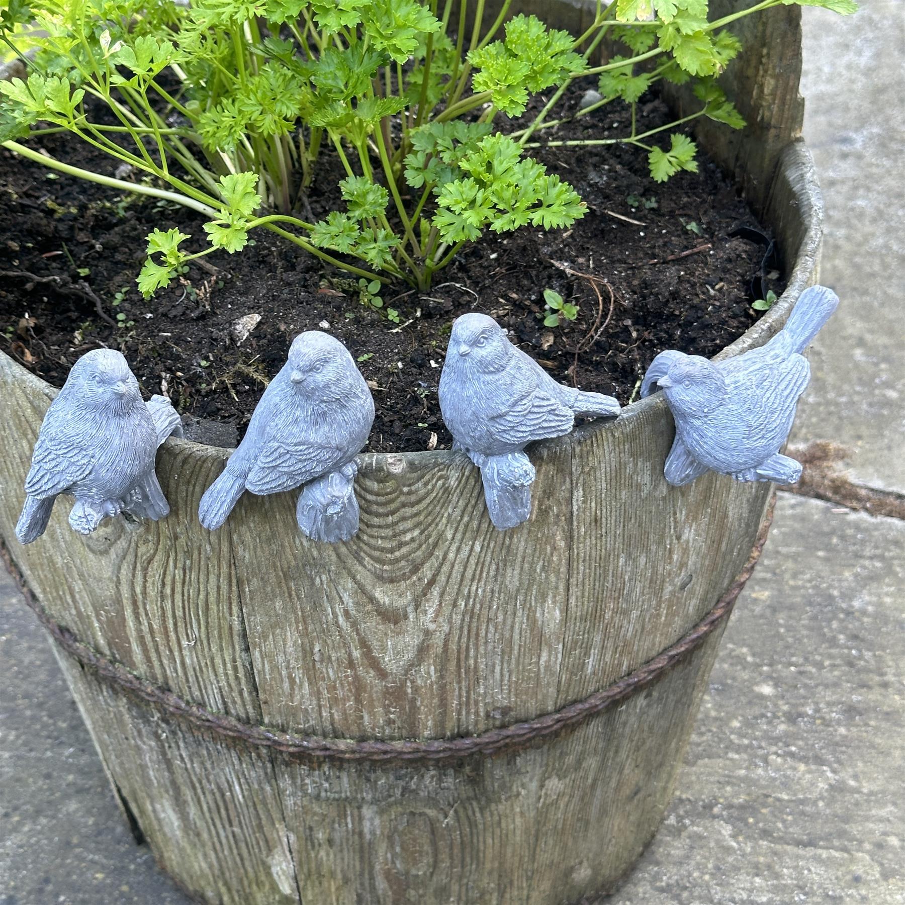 Bird pot hanger decorations, set of 4