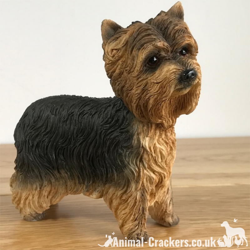 Yorkshire Terrier 'Yorkie' lifelike figurine ornament Leonardo range gift boxed.