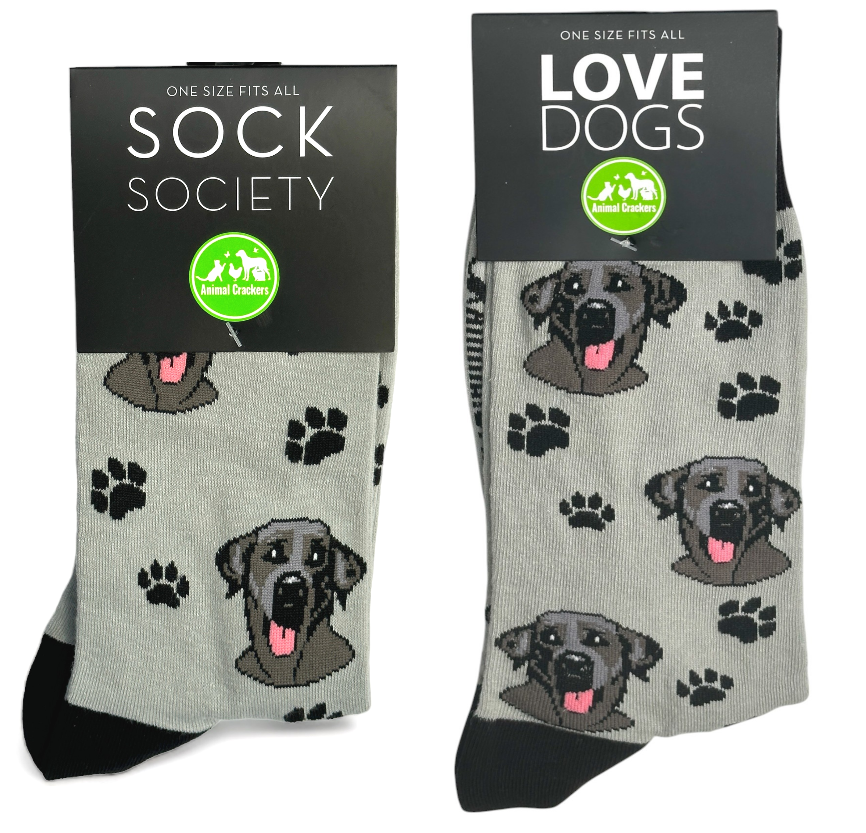 Animal Crackers Black Labrador design socks, quality cotton mix, Women's or Men's sizes