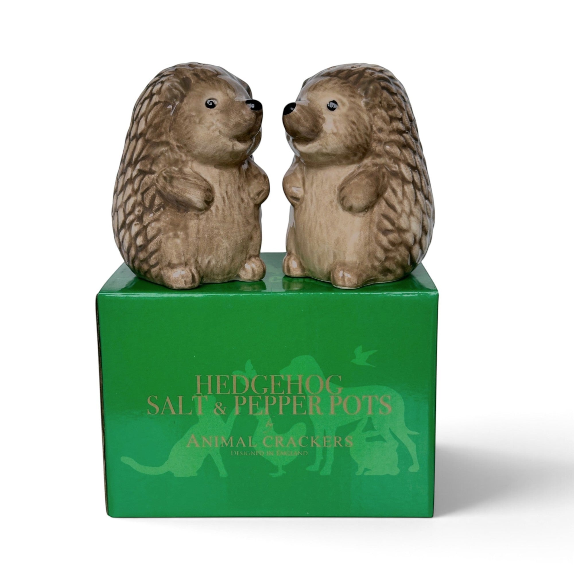 Hedgehogs design ceramic Salt & Pepper shaker set, gift boxed
