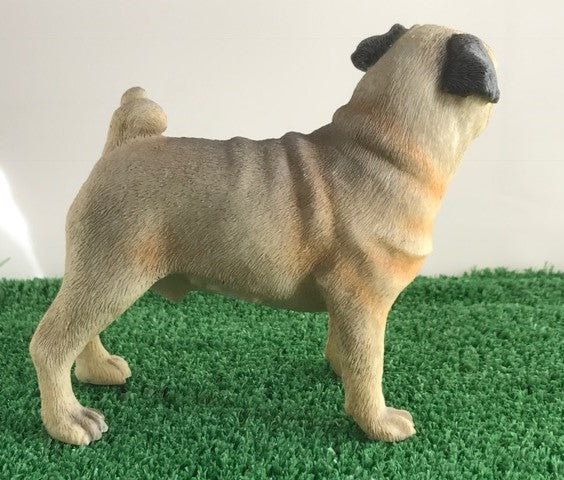 Beige standing Pug ornament quality realistic figurine Leonardo range Gift boxed
