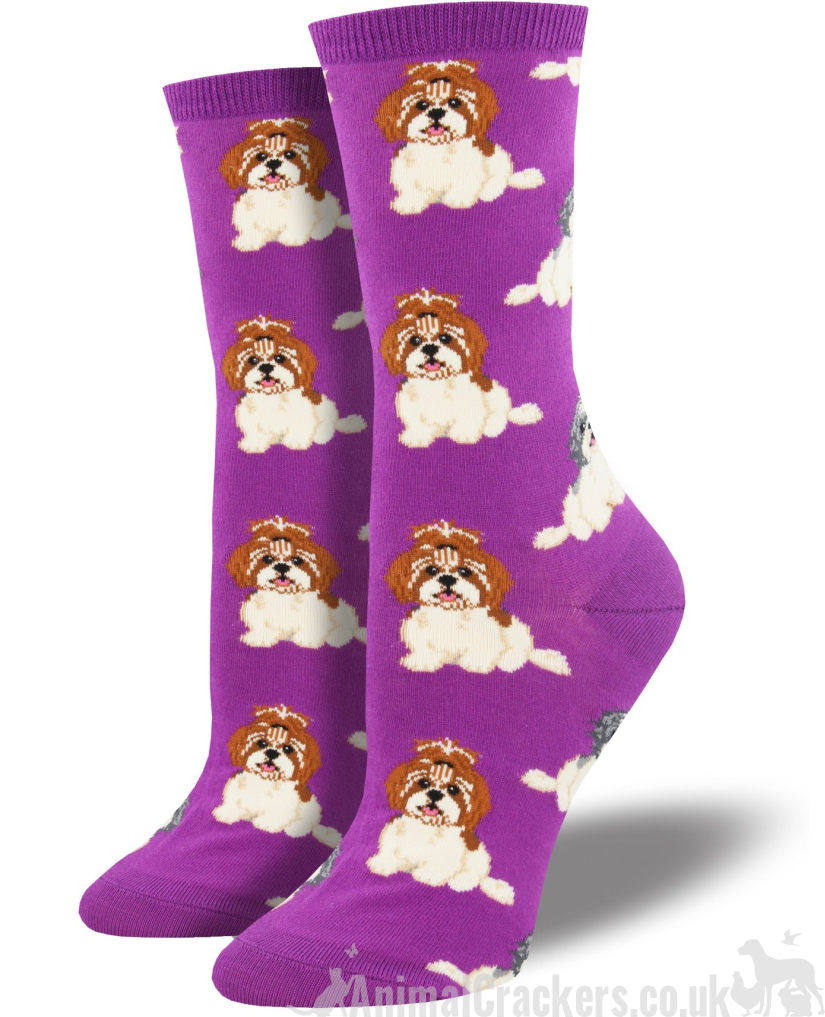 Womens Socksmith 'Shih Tzu Not' design socks, One Size, quality Shih Tzu Dog lover gift