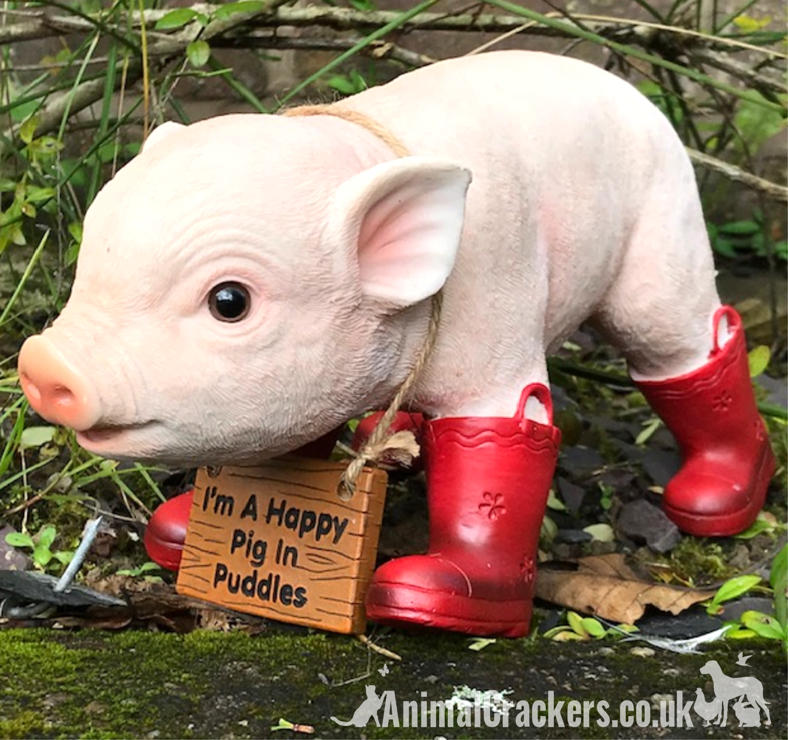 Happy Pig in Red Wellies with removable 'I'm a Happy Pig in Puddles' sign, great novelty garden ornament and Pig lover gift