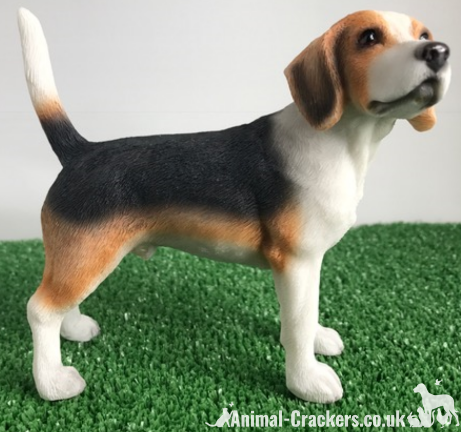 Beagle figurine by Leonardo, realistic quality item, gift boxed