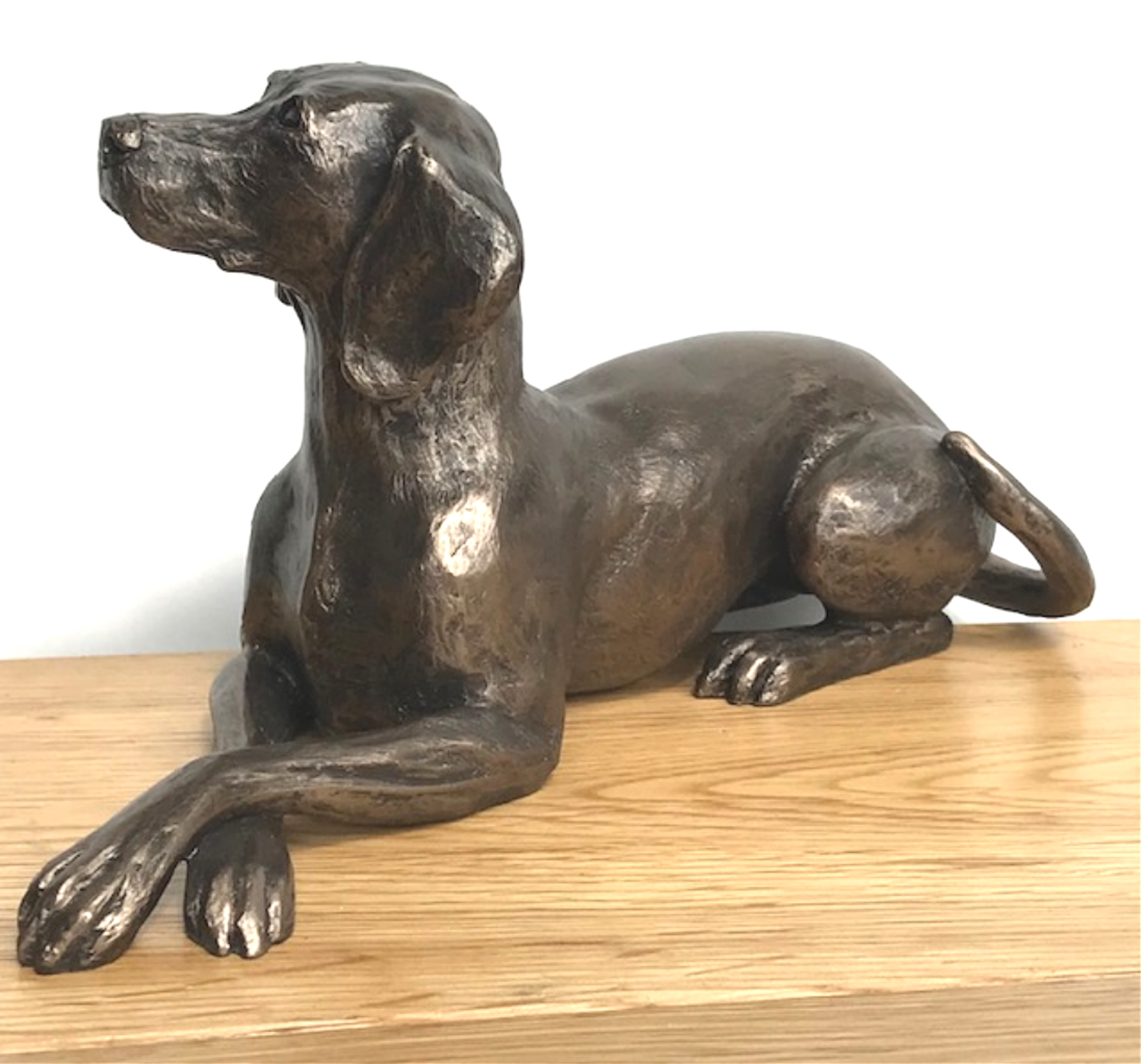 Exclusive to Animal Crackers - fabulous 23cm Cold Cast Bronze Weimaraner ornament figurine designed by Harriet Glen