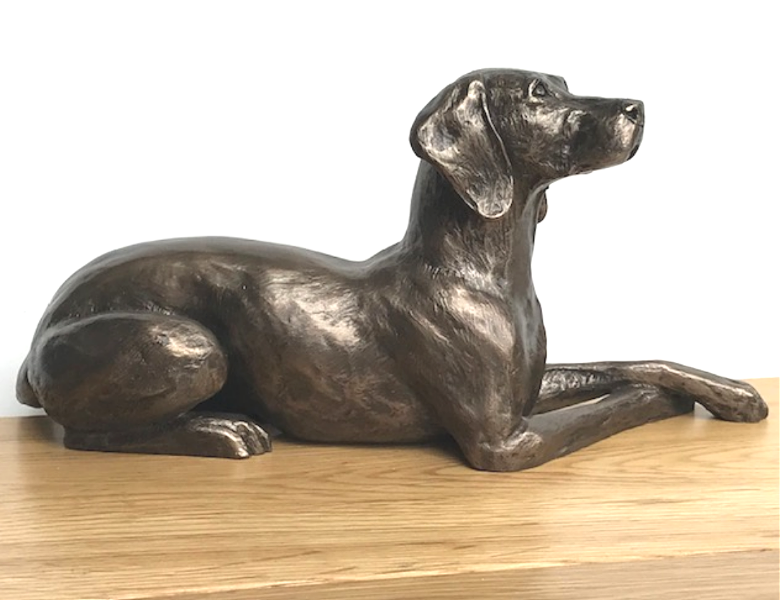 Exclusive to Animal Crackers - fabulous 23cm Cold Cast Bronze Weimaraner ornament figurine designed by Harriet Glen