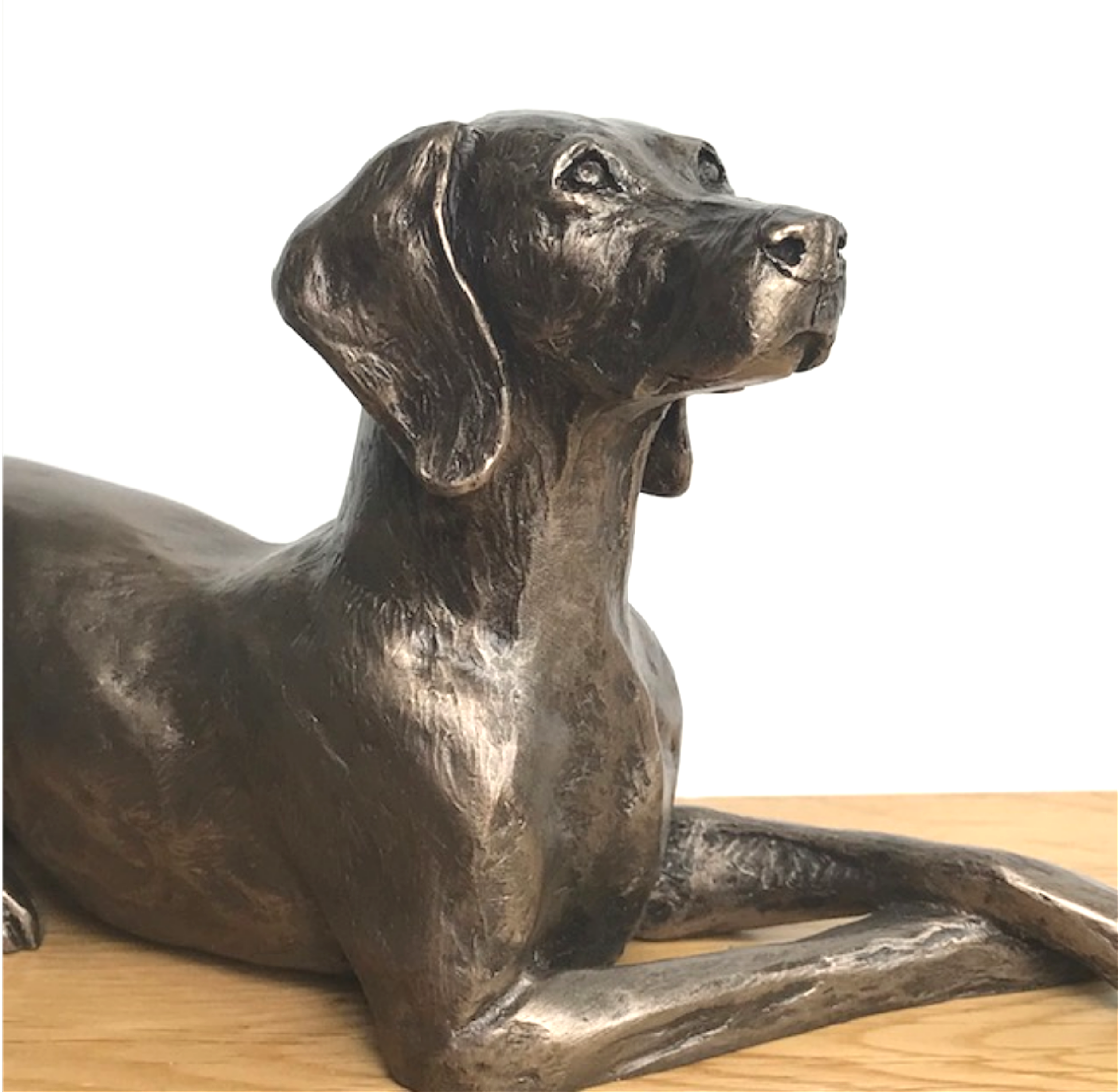 Weimaraner figurine in Cold Cast Bronze designed by Harriet Glen