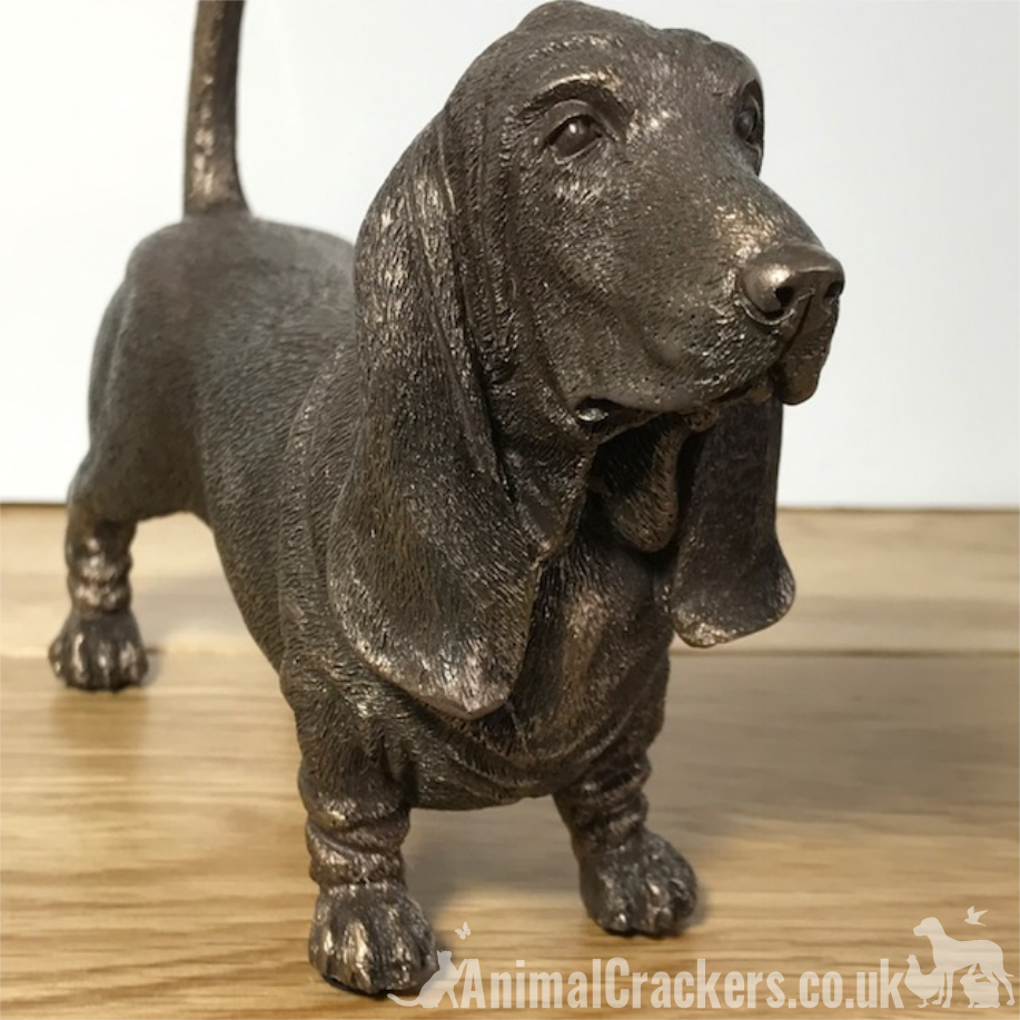 Basset Hound figurine in cold cast bronze, gift boxed