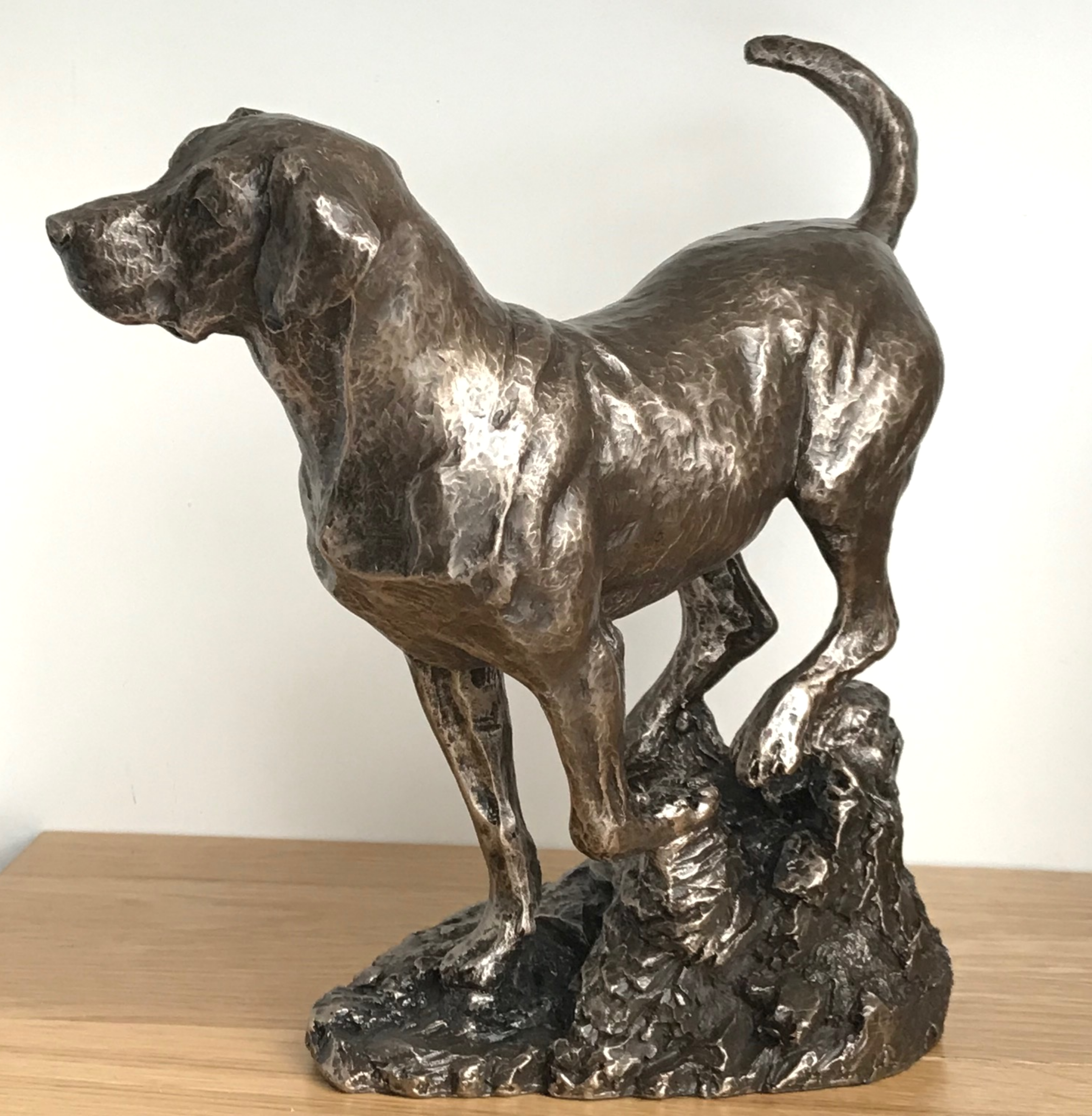 Large heavy weight Bronze Labrador sculpture designed by David Geenty