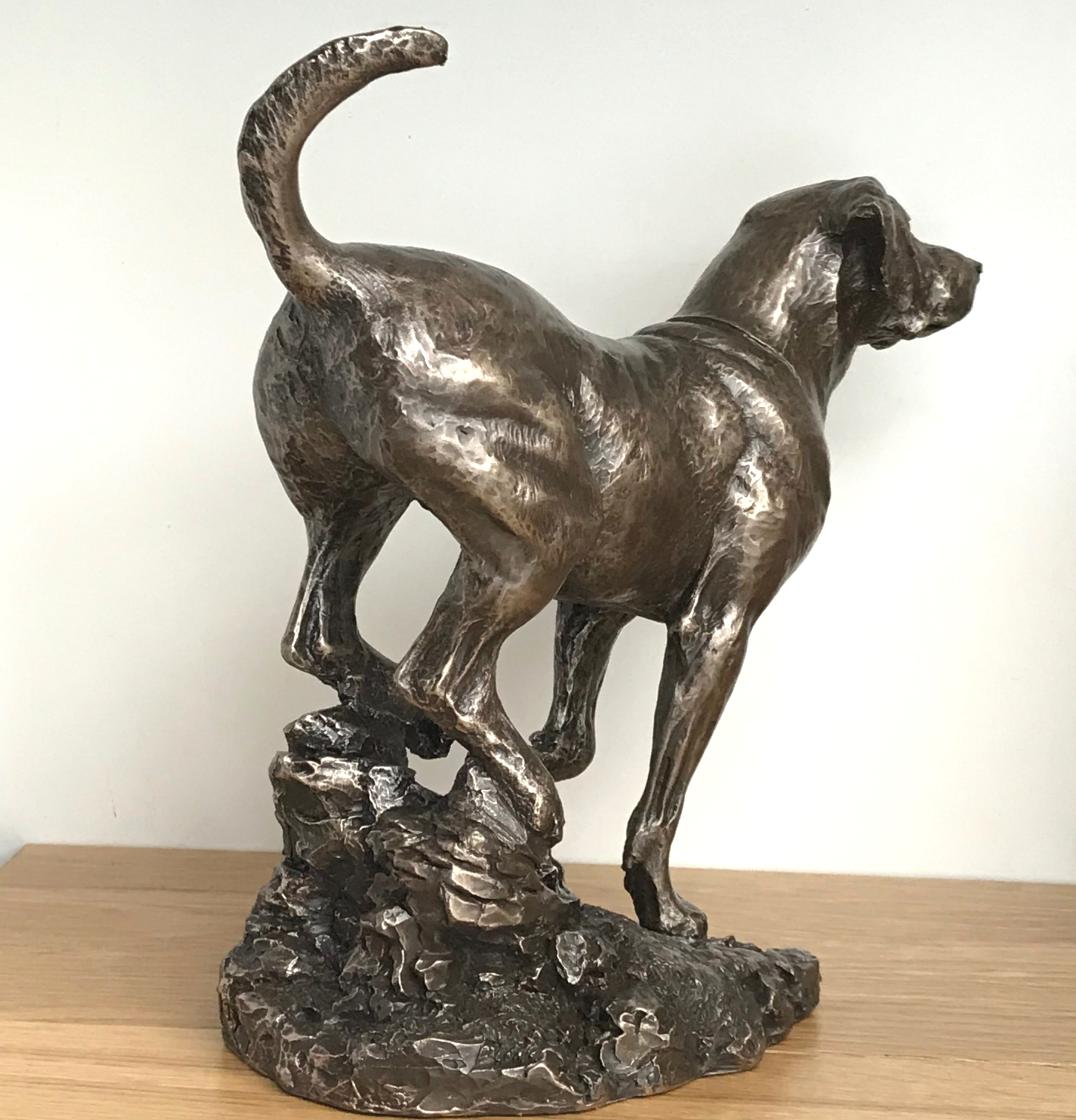 Large heavy weight Bronze Labrador sculpture designed by David Geenty