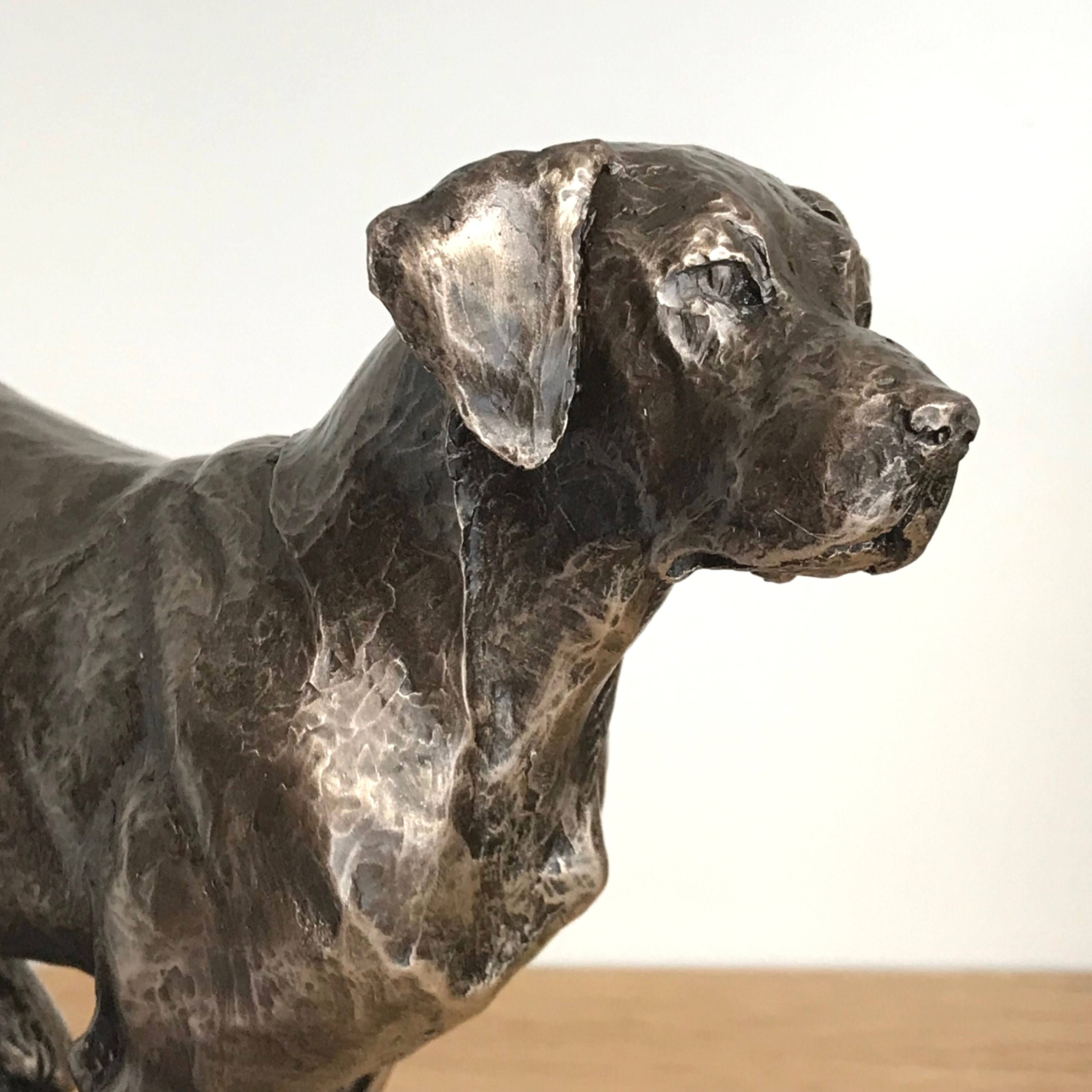 Large heavy weight Bronze Labrador sculpture designed by David Geenty