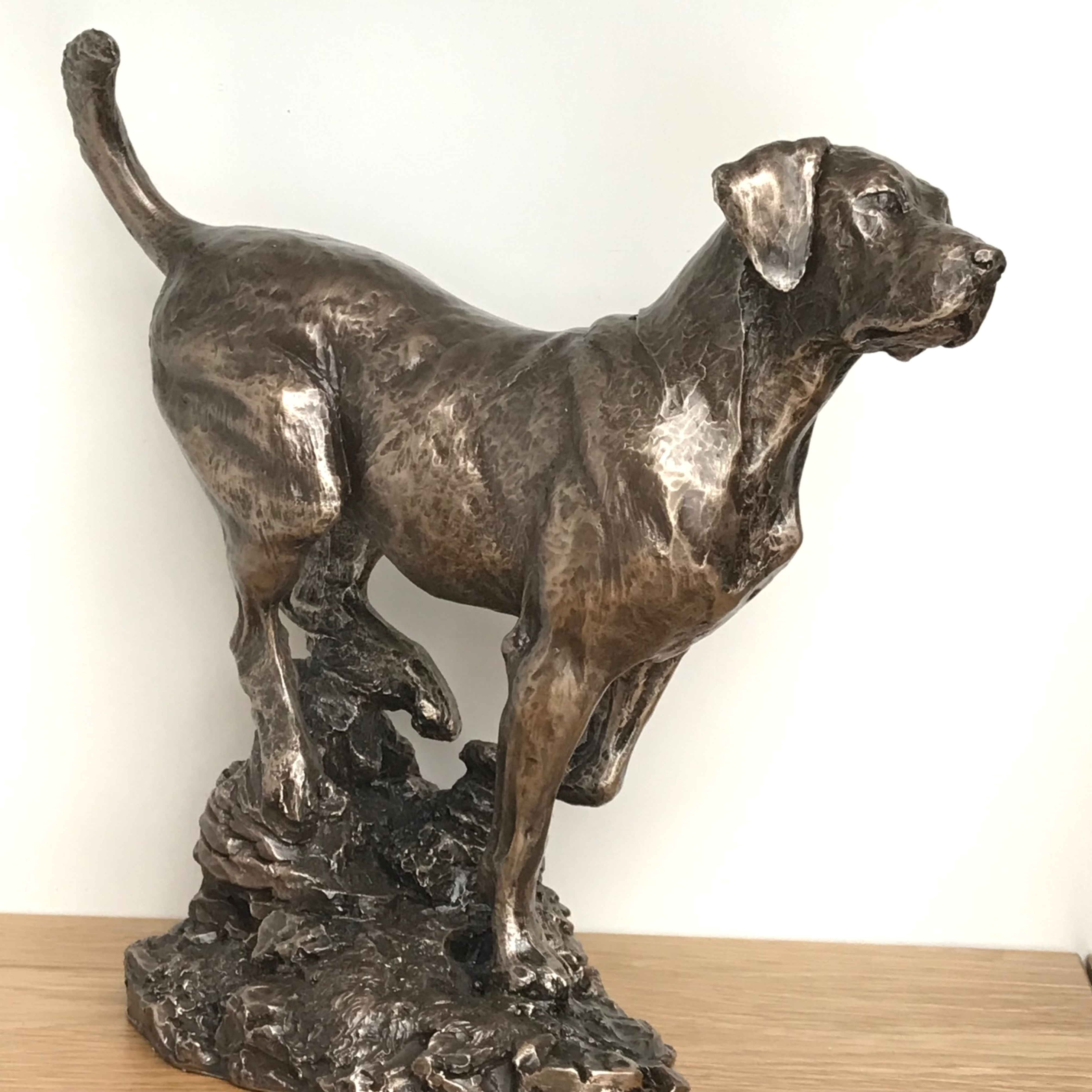 Large heavy weight Bronze Labrador sculpture designed by David Geenty