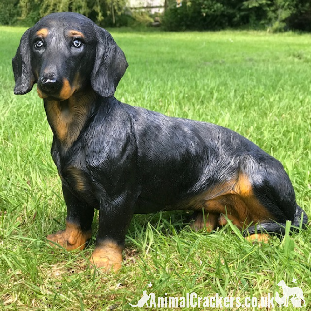 Large sitting Dachshund figurine indoor or garden ornament