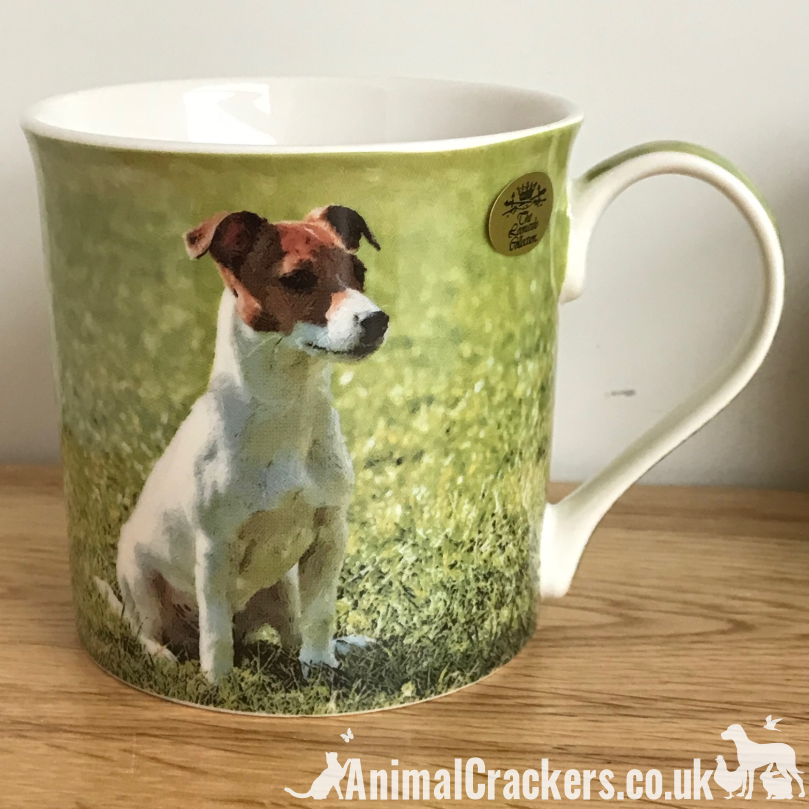 Leonardo quality Jack Russell Terrier fine china mug with all round print, in coloured gift box, great Jack Russell lover gift