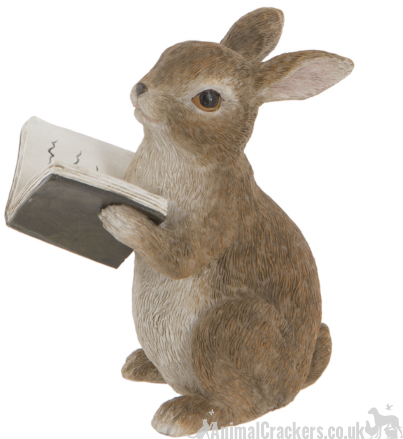 Itsy the Rabbit - cute rabbit reading book indoor ornament or fairy garden decoration