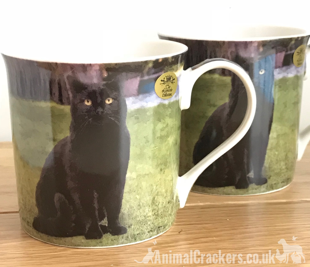 Leonardo quality Black Cat fine china mug with all round print, in coloured gift box, great Jack Russell lover gift