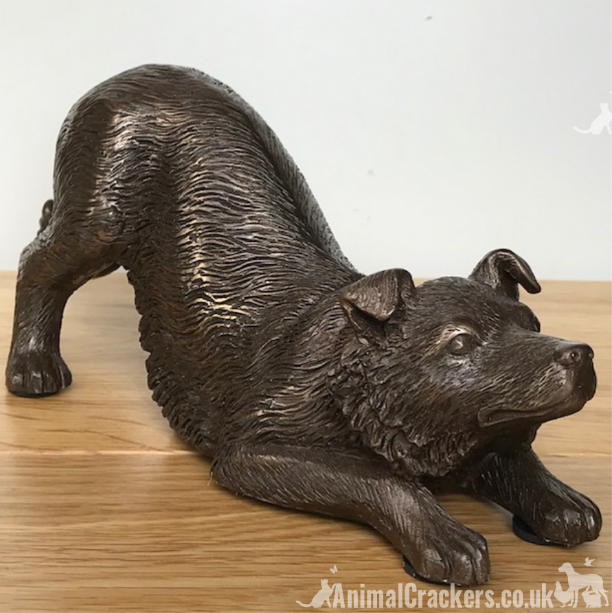 Border Collie figurine in heavy weight cold cast bronze, length 22cm