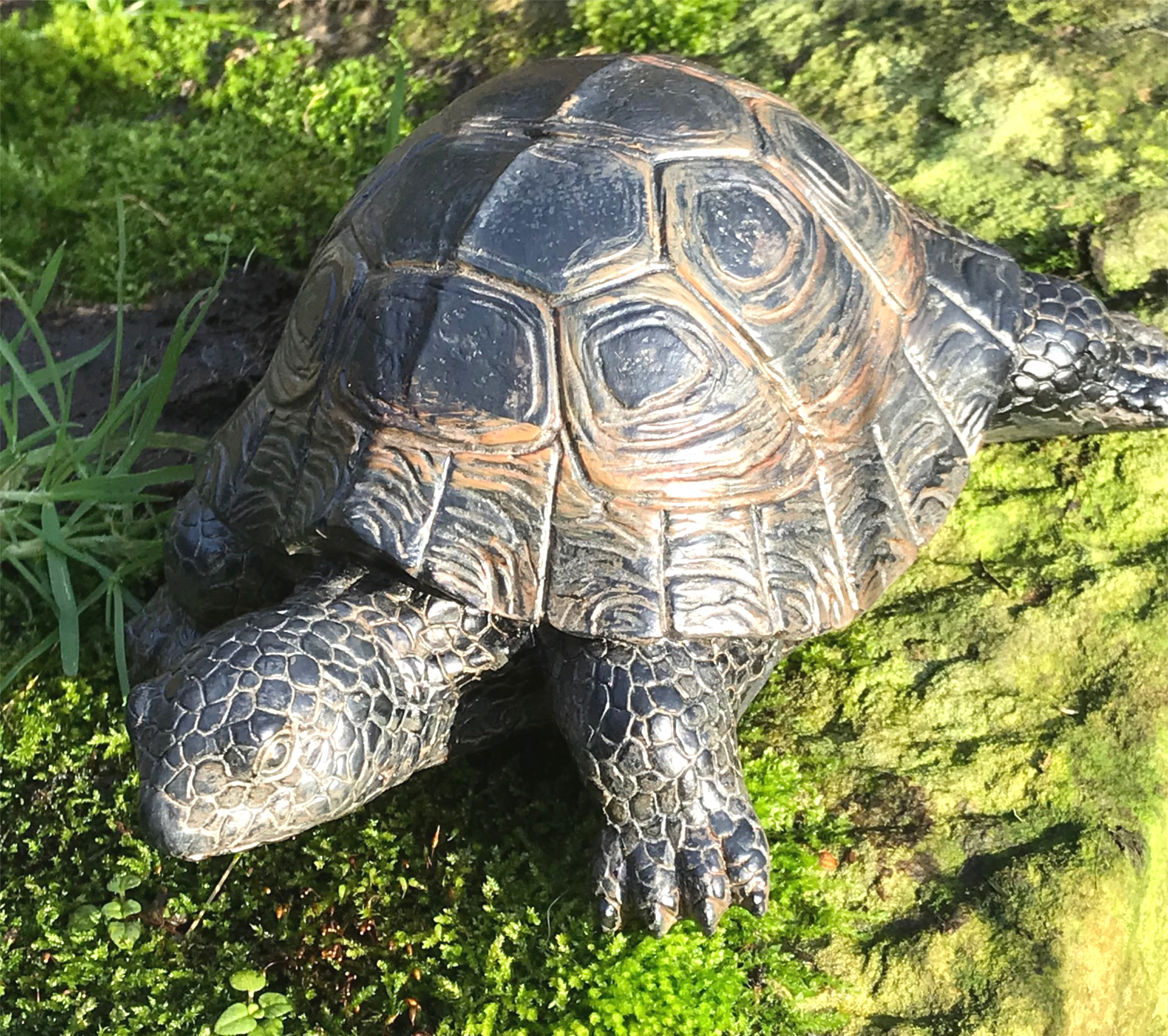 18cm Realistic Tortoise, weatherproof garden ornament or indoor decoration