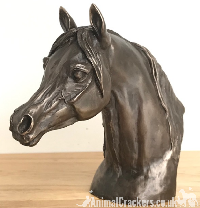 Arab Horse Head bust in Cold Cast Bronze by Harriet Glen