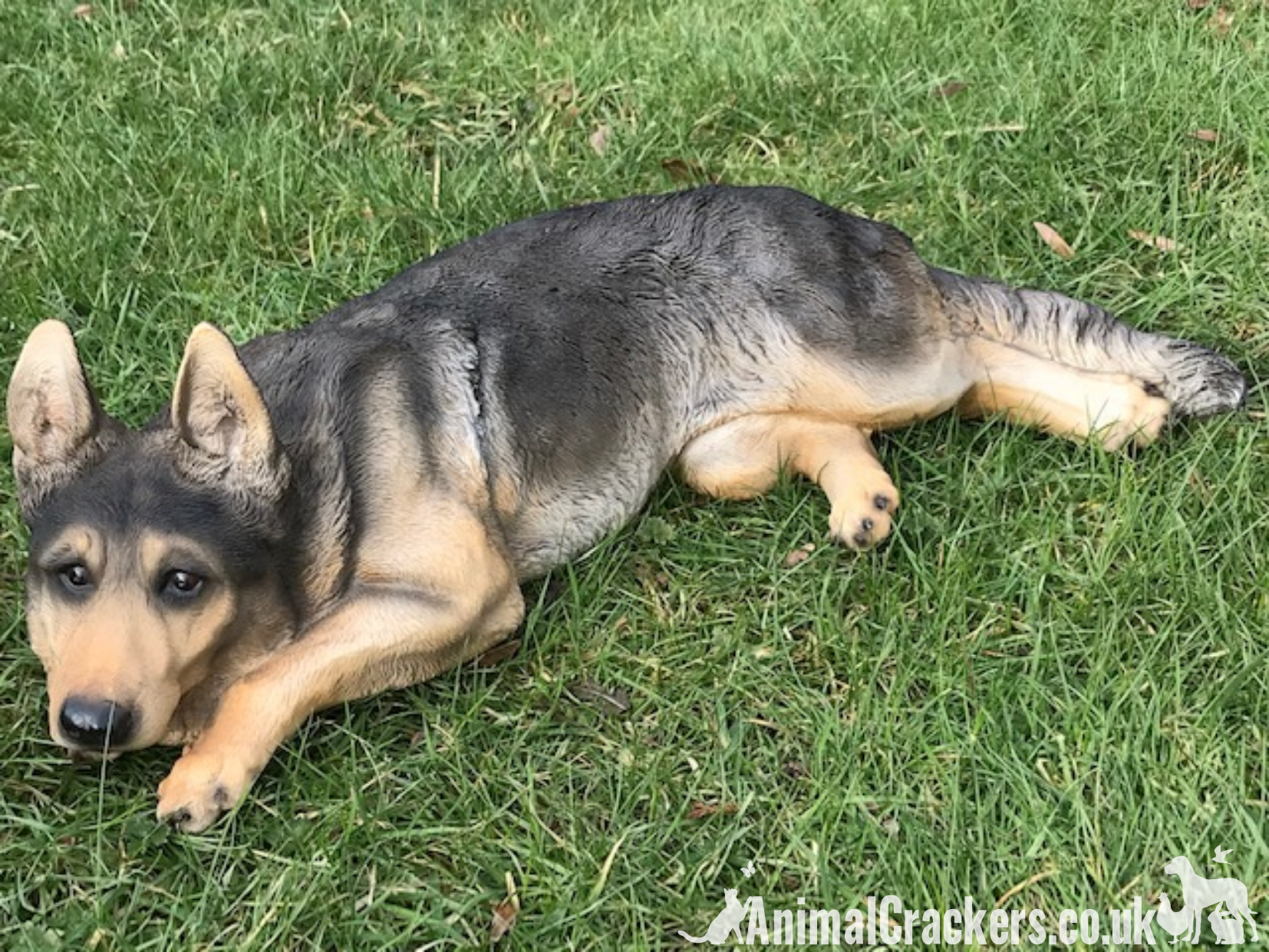 Large (45cm) laying German Shepherd Dog ornament sculpture, great memorial or Alsatian lover gift