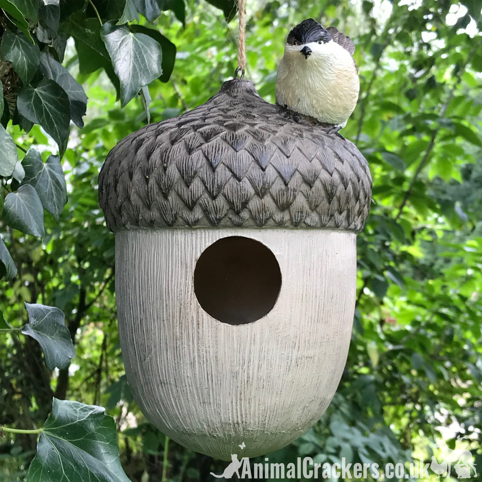 Novelty ACORN BIRD HOUSE NEST BOX decorated with bird, garden bird lover gift