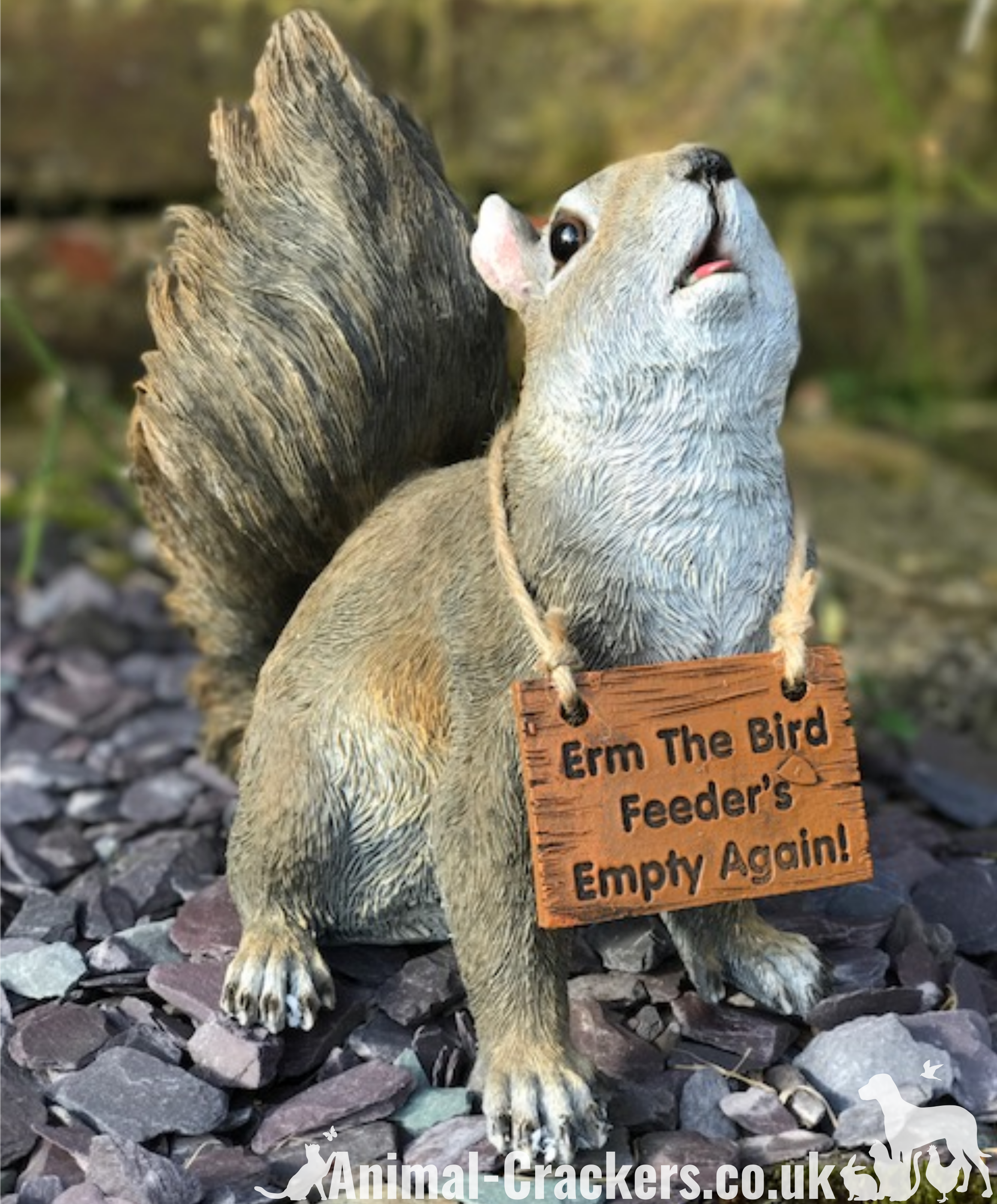 Cheeky Squirrel with removable 'Bird Feeder's Empty' sign garden ornament