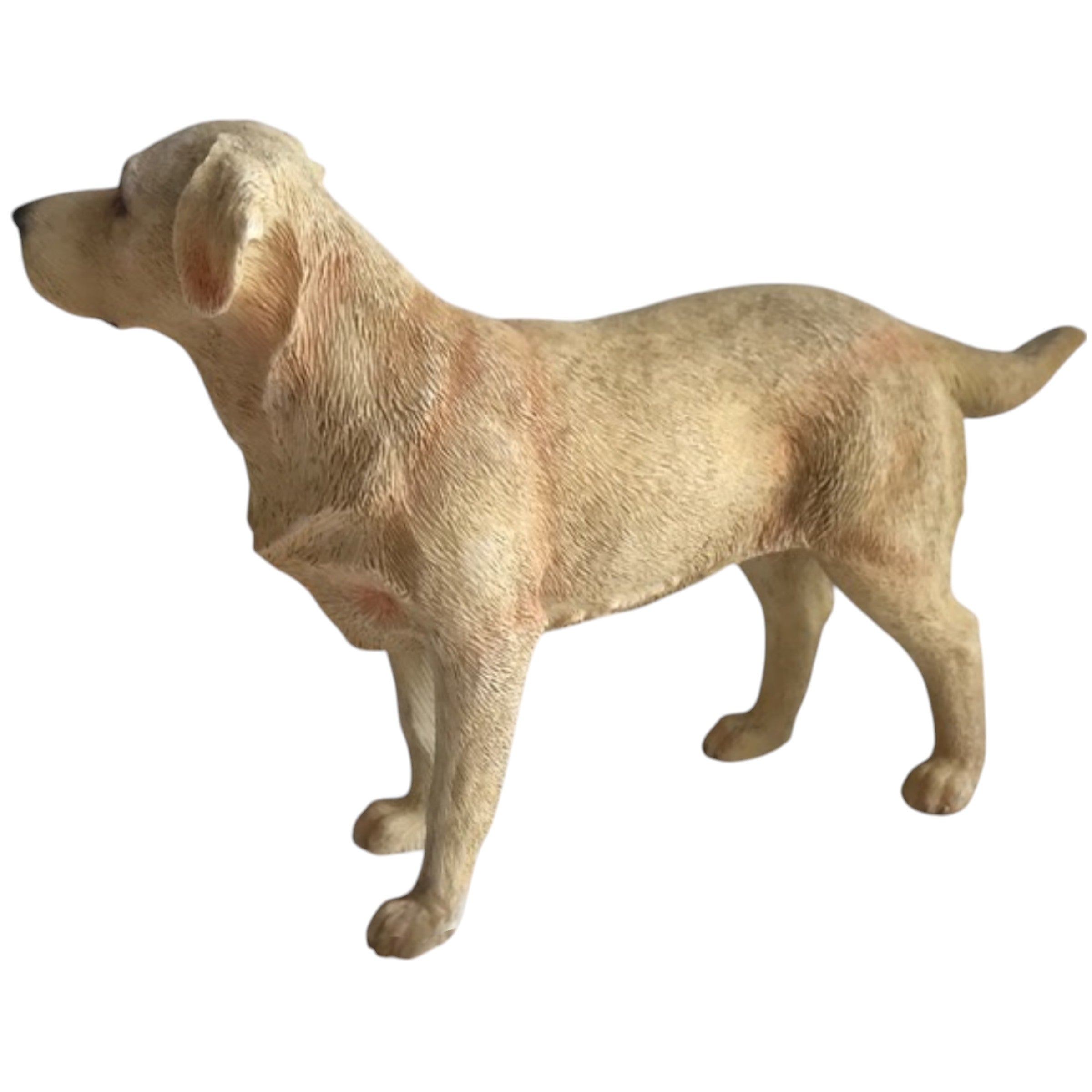 Standing Leonardo Golden Labrador ornament figurine decoration, Gift boxed