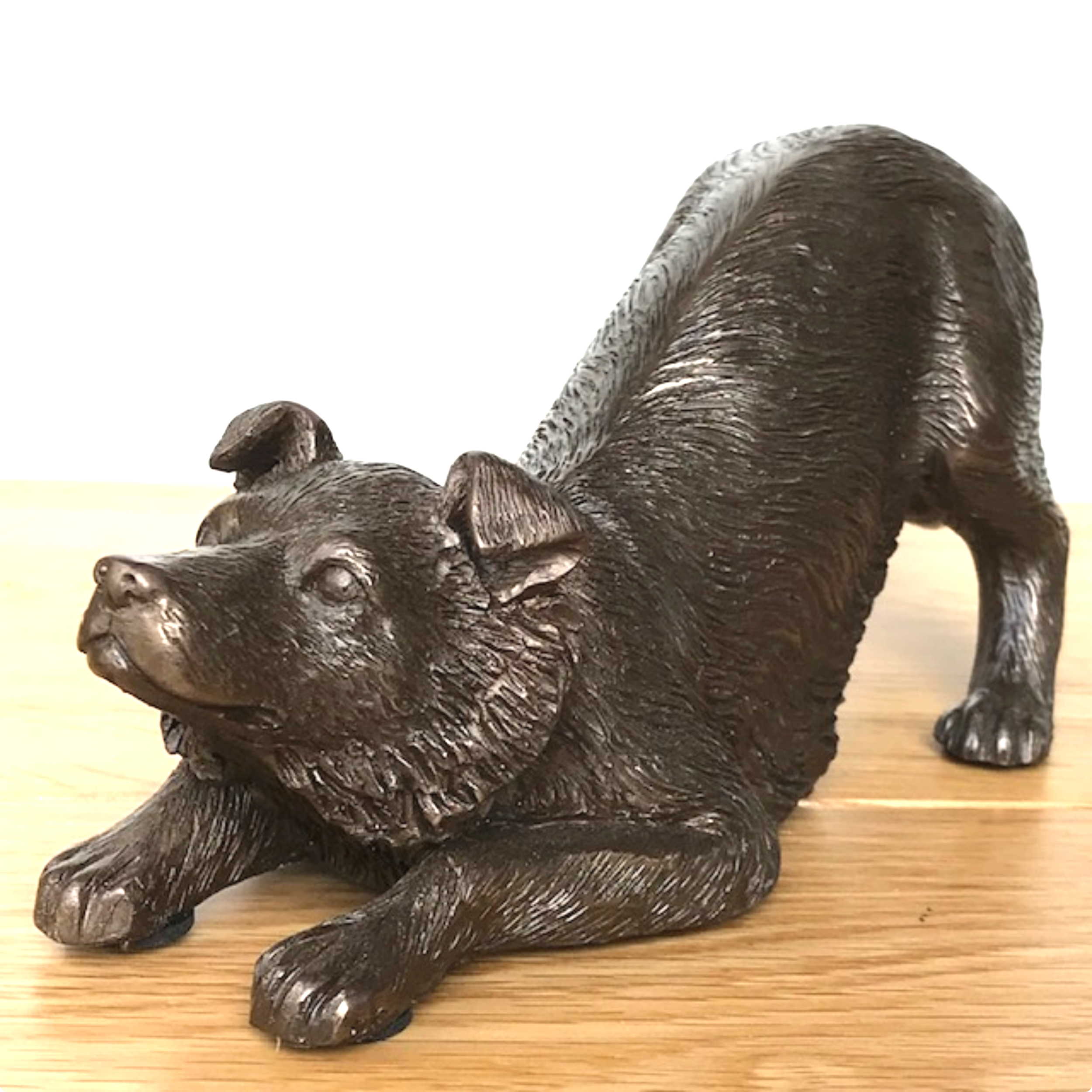 Border Collie figurine in heavy weight cold cast bronze, length 22cm