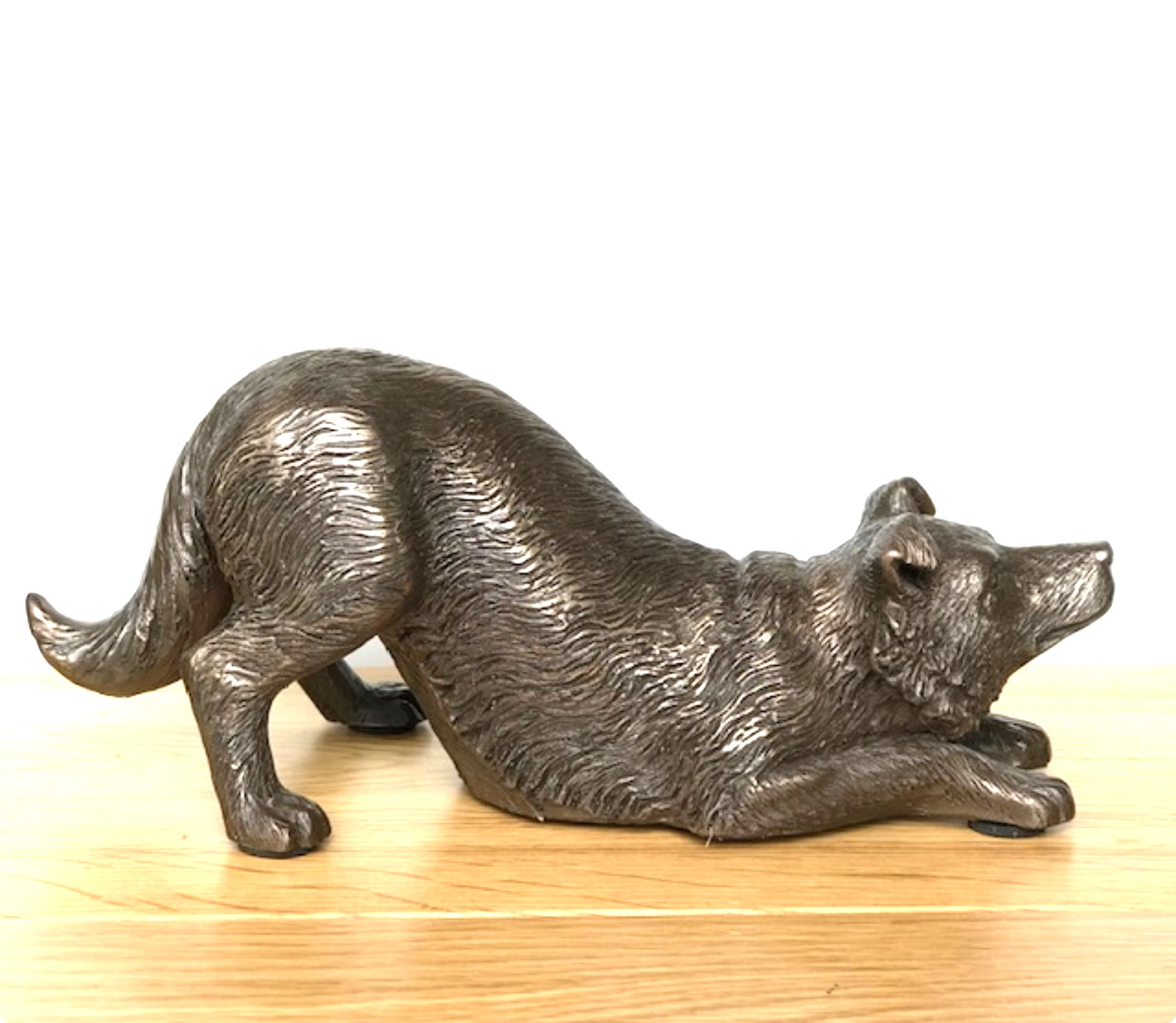 Border Collie figurine in heavy weight cold cast bronze, length 22cm