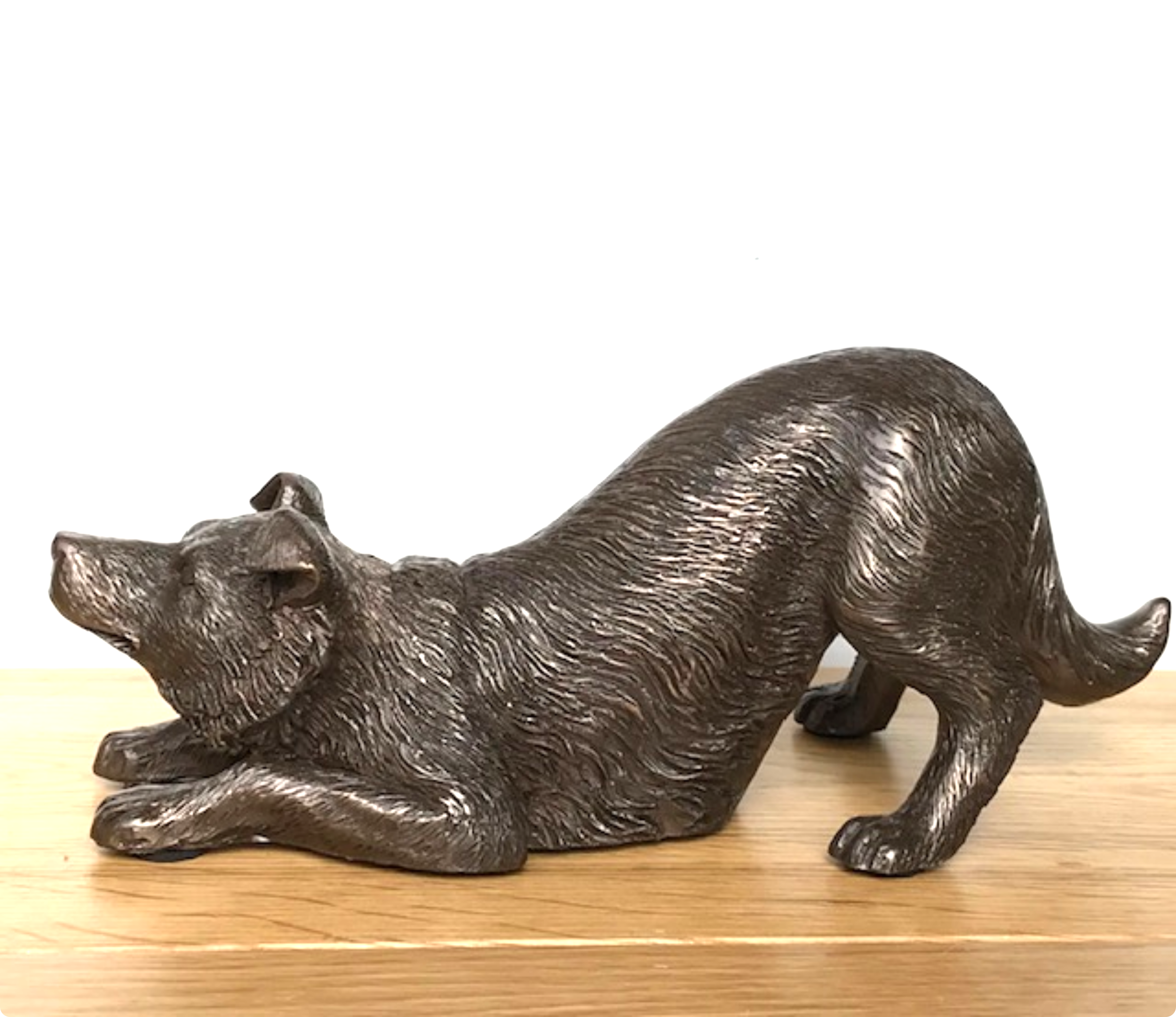 Border Collie figurine in heavy weight cold cast bronze, length 22cm