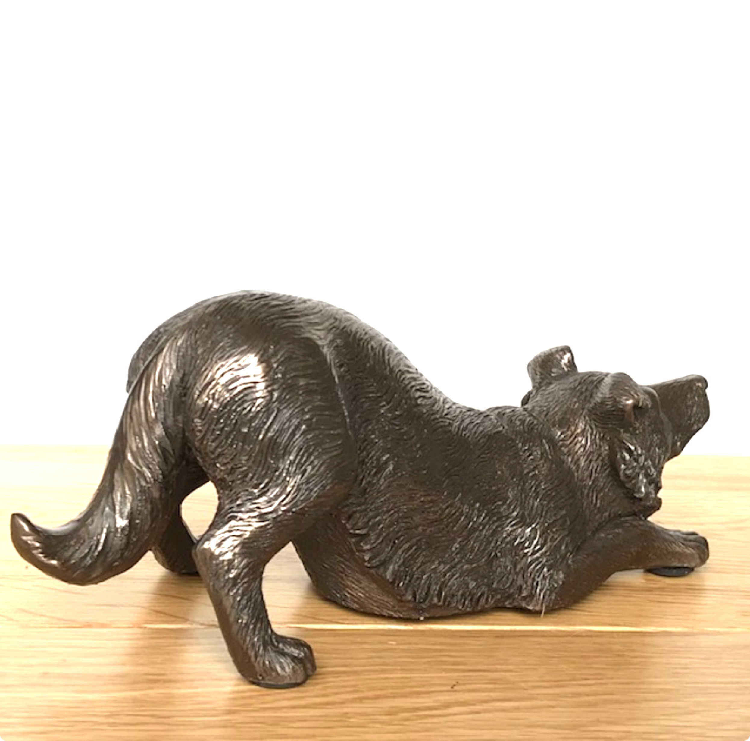 Border Collie figurine in heavy weight cold cast bronze, length 22cm