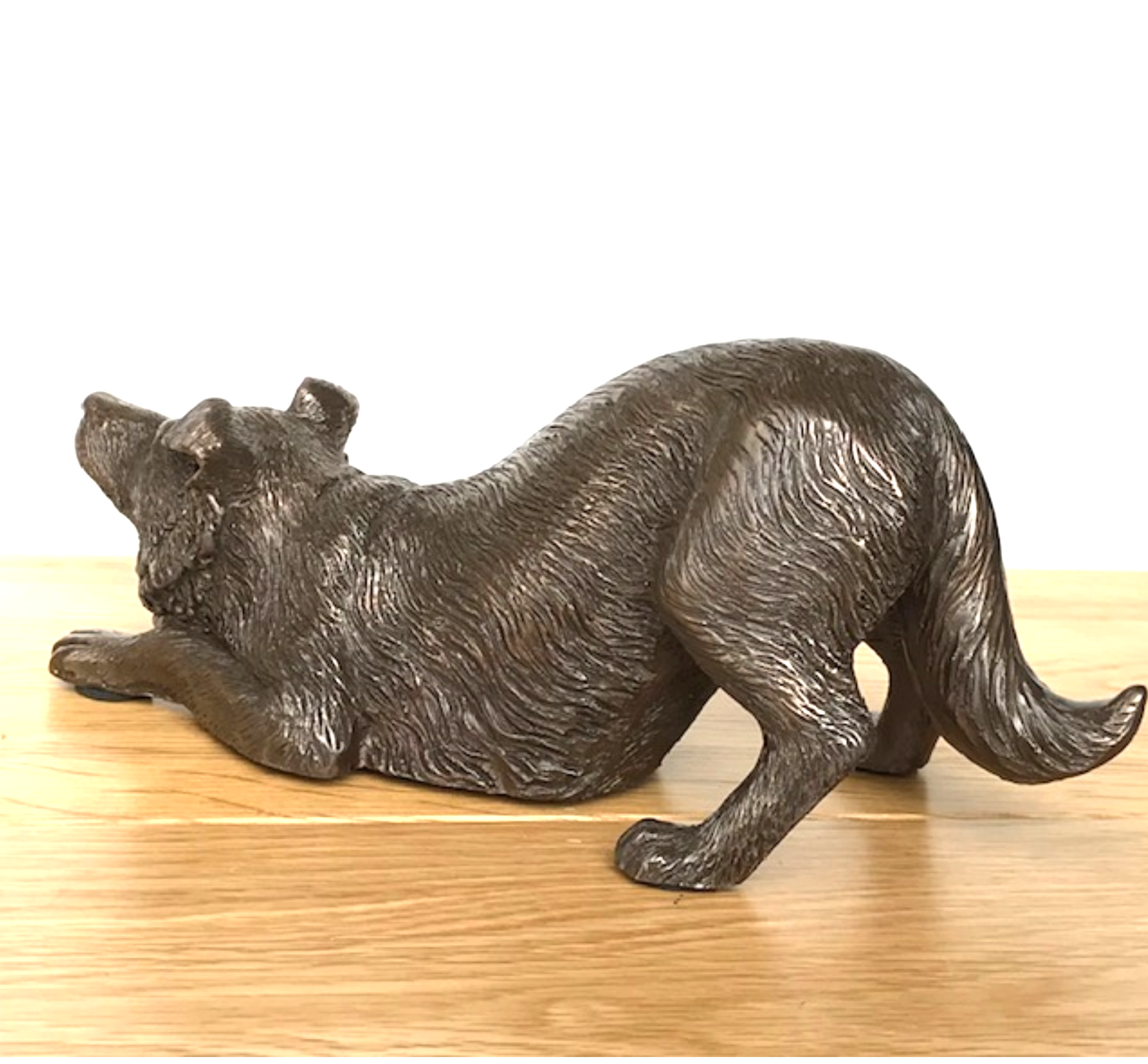 Border Collie figurine in heavy weight cold cast bronze, length 22cm