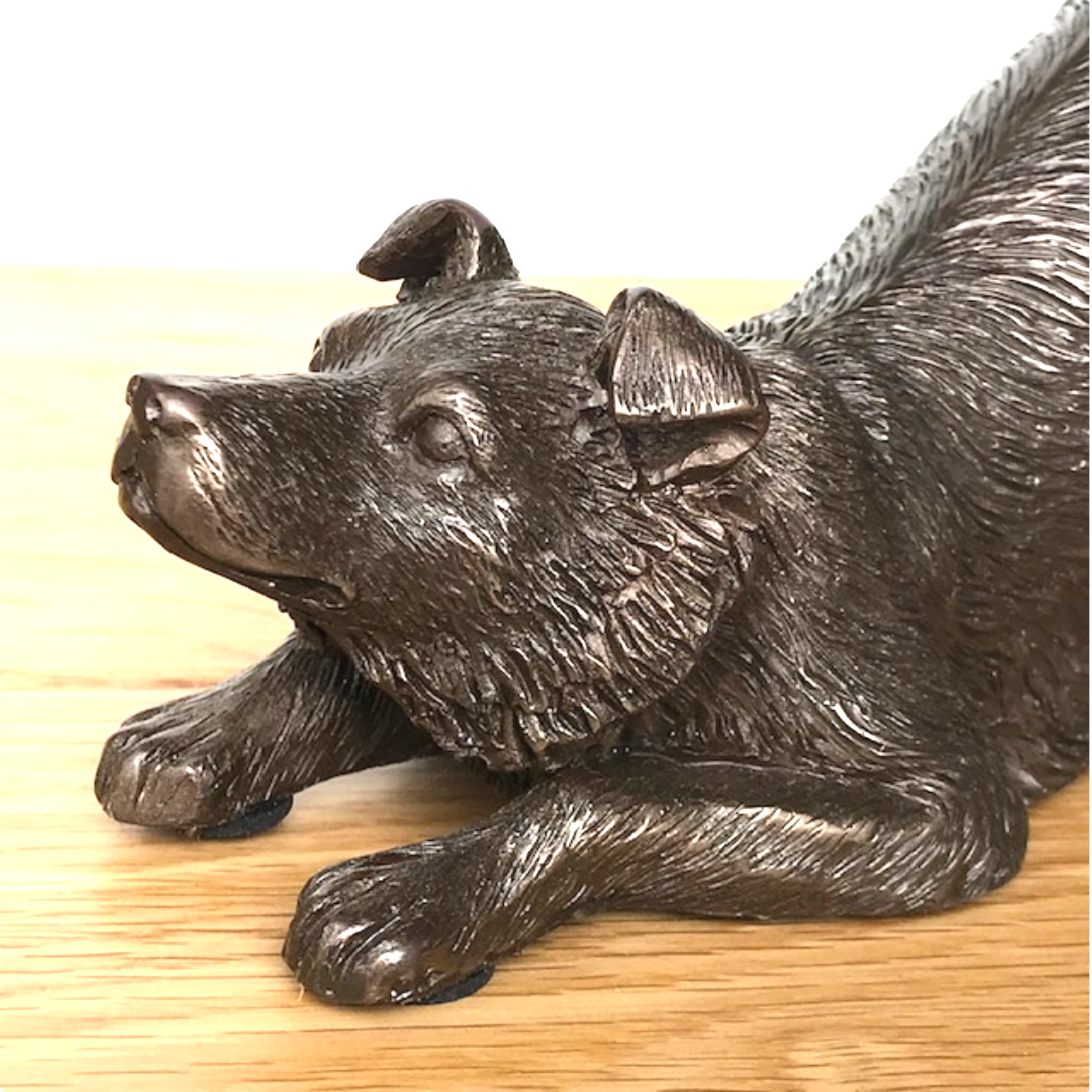 Border Collie figurine in heavy weight cold cast bronze, length 22cm