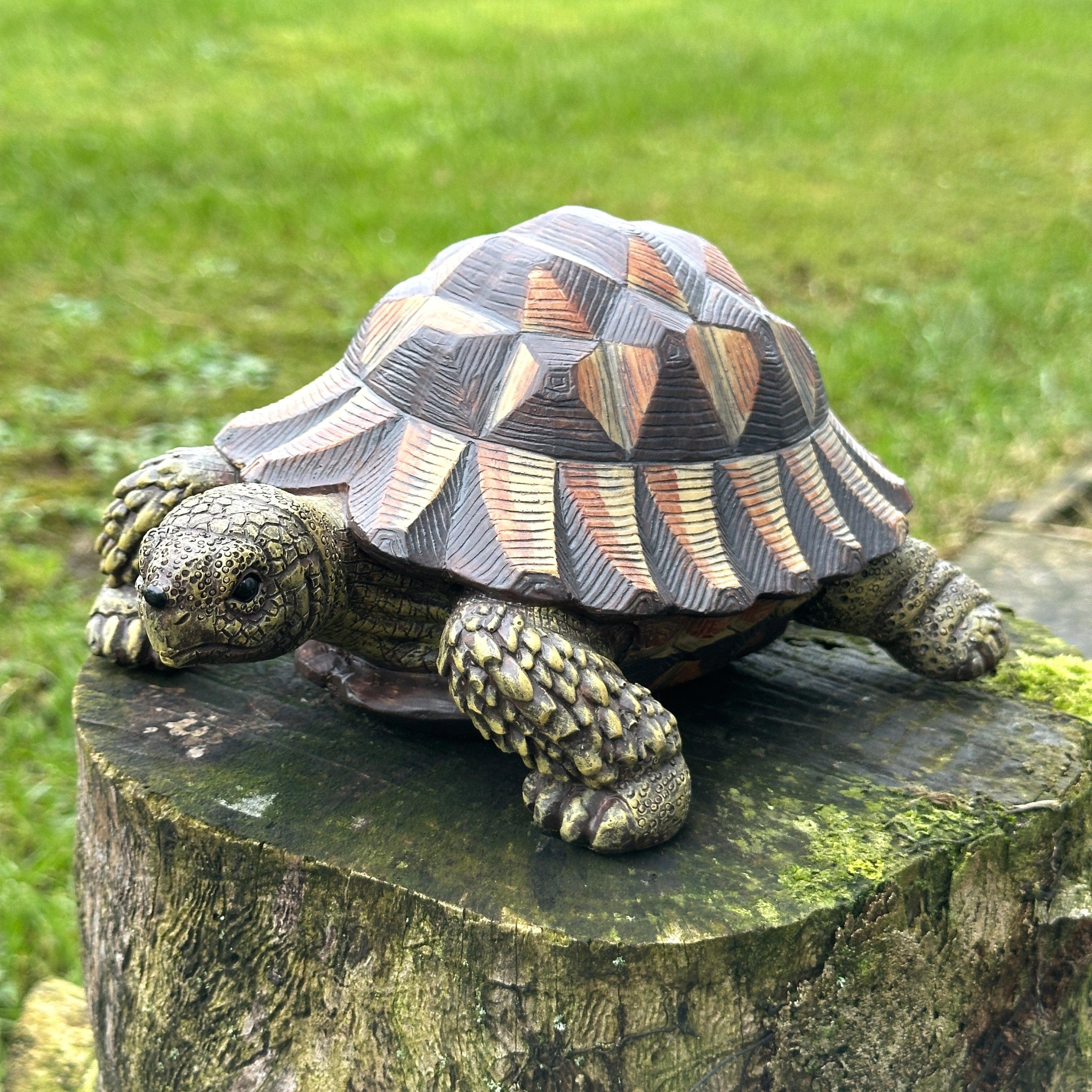 Animal Crackers realistic Tortoise figurine, length 20cm, gift boxed