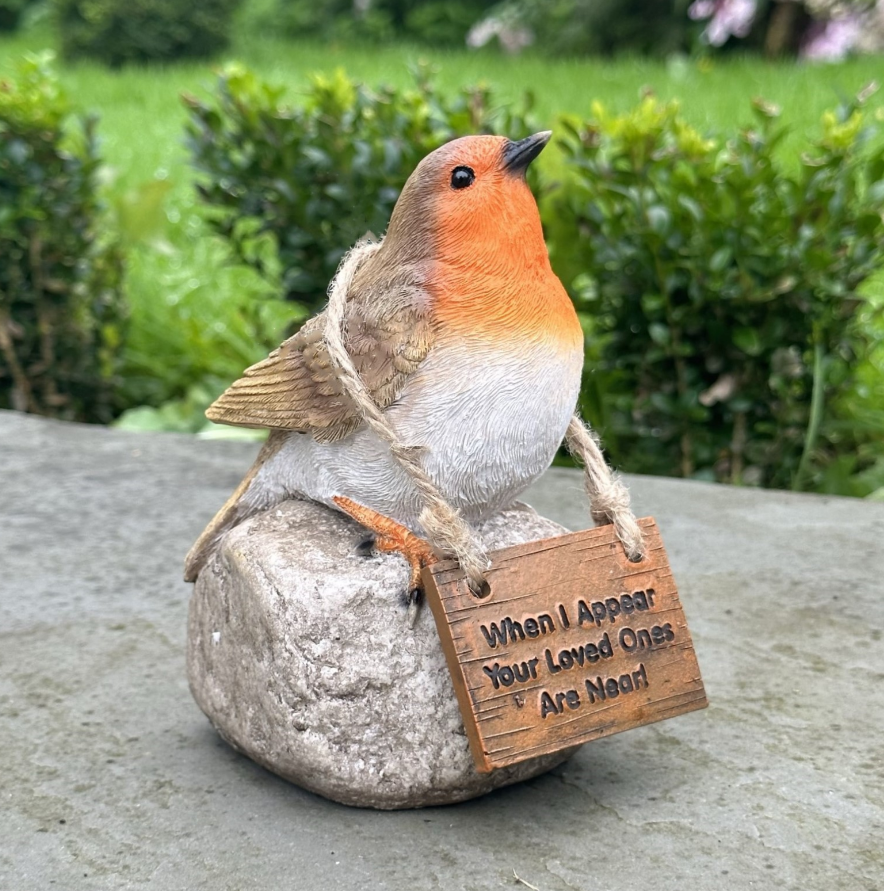 Remembrance Robin with 'When I Appear Your Loved Ones Are Near' sign memorial ornament bird lover gift