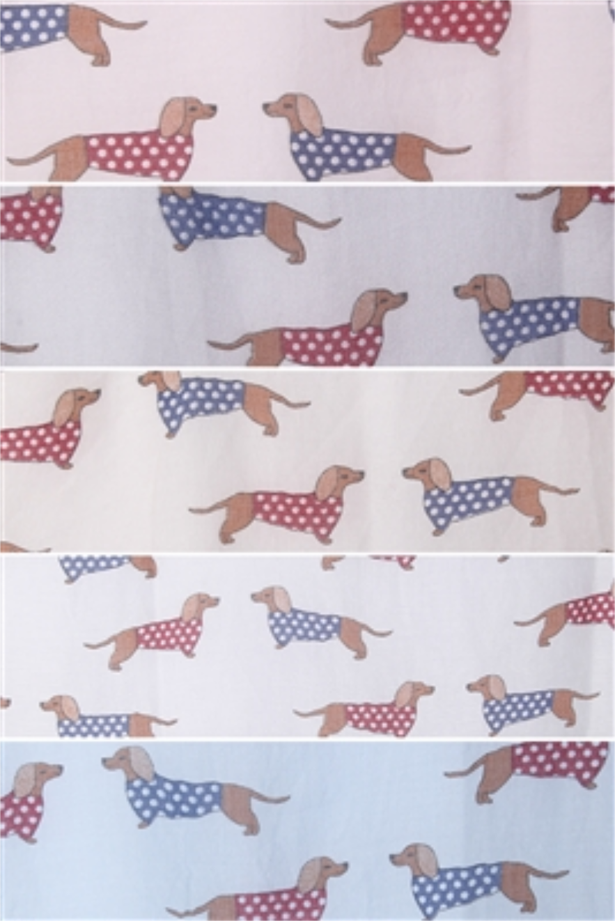 Ladies lightweight Dachshund in spotted coat print Scarf Sarong in choice of colours, great Sausage Dog lover gift!