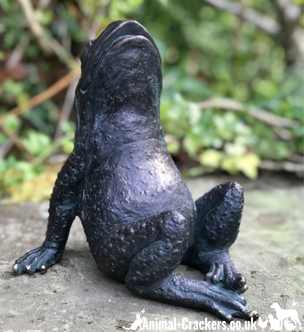 17cm Bronze effect Gazing Frog quirky garden pond decoration or frog lover gift